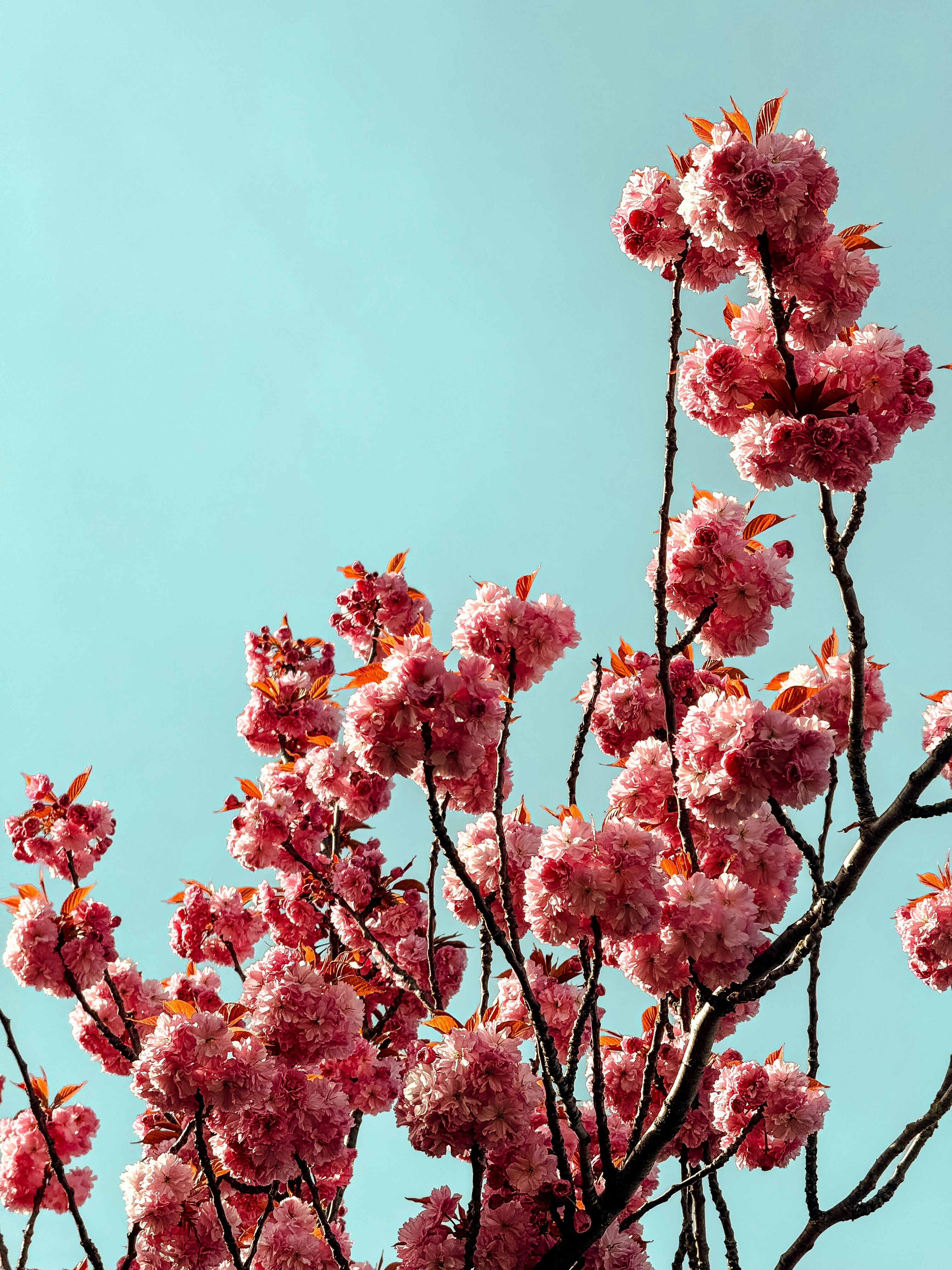 Photo by daniellss007