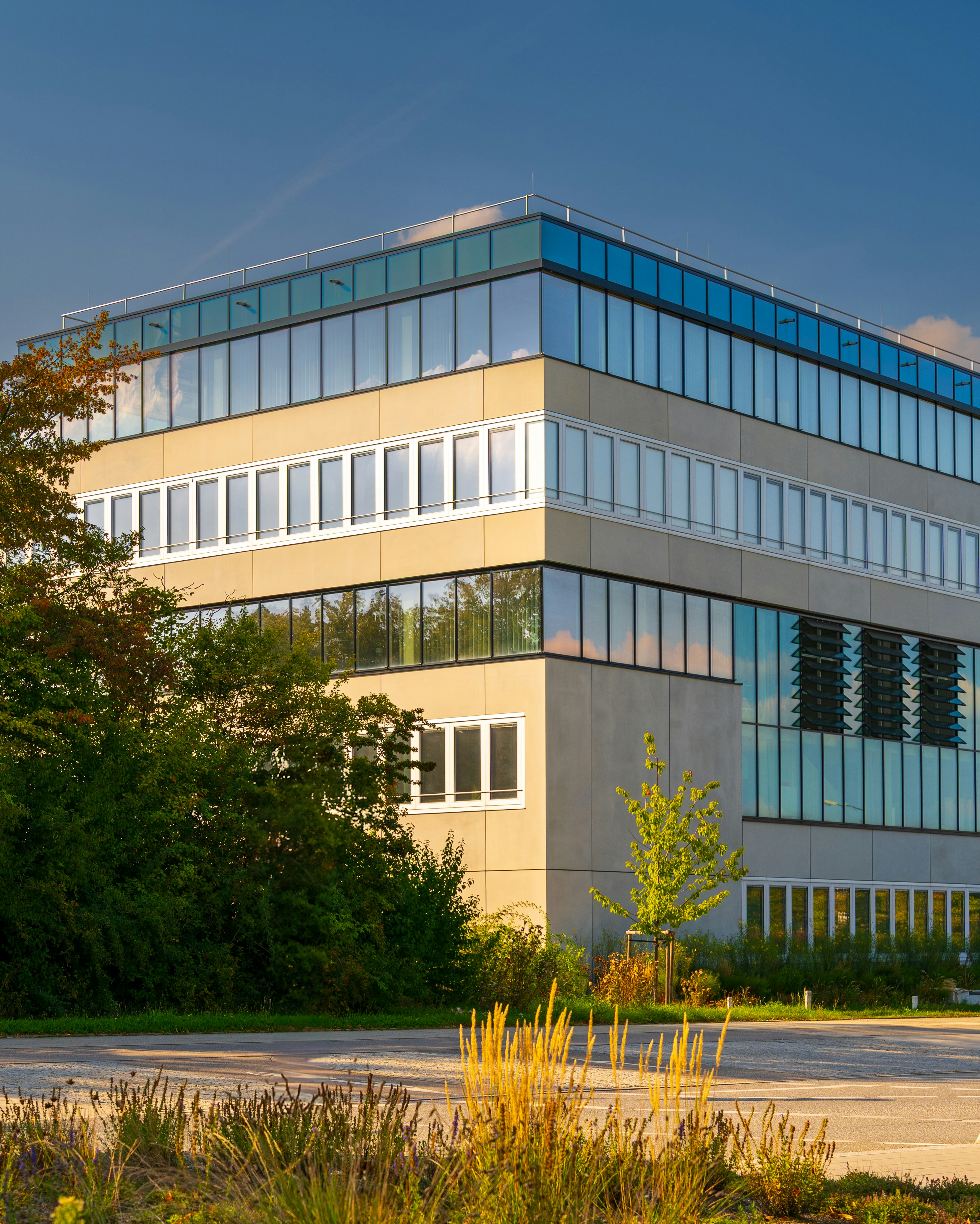 Photo by bangscreative