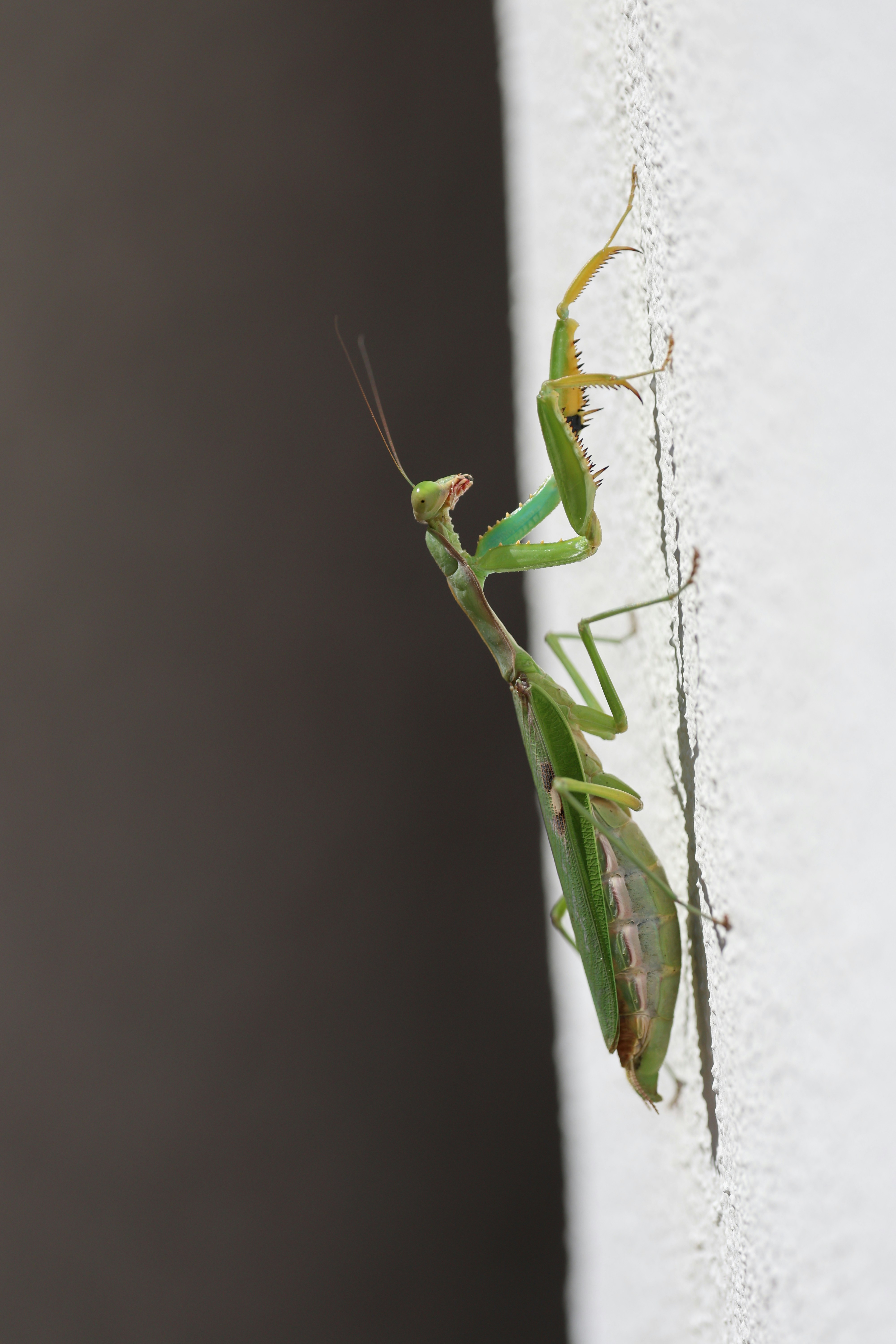 Photo by amandaswanepoel