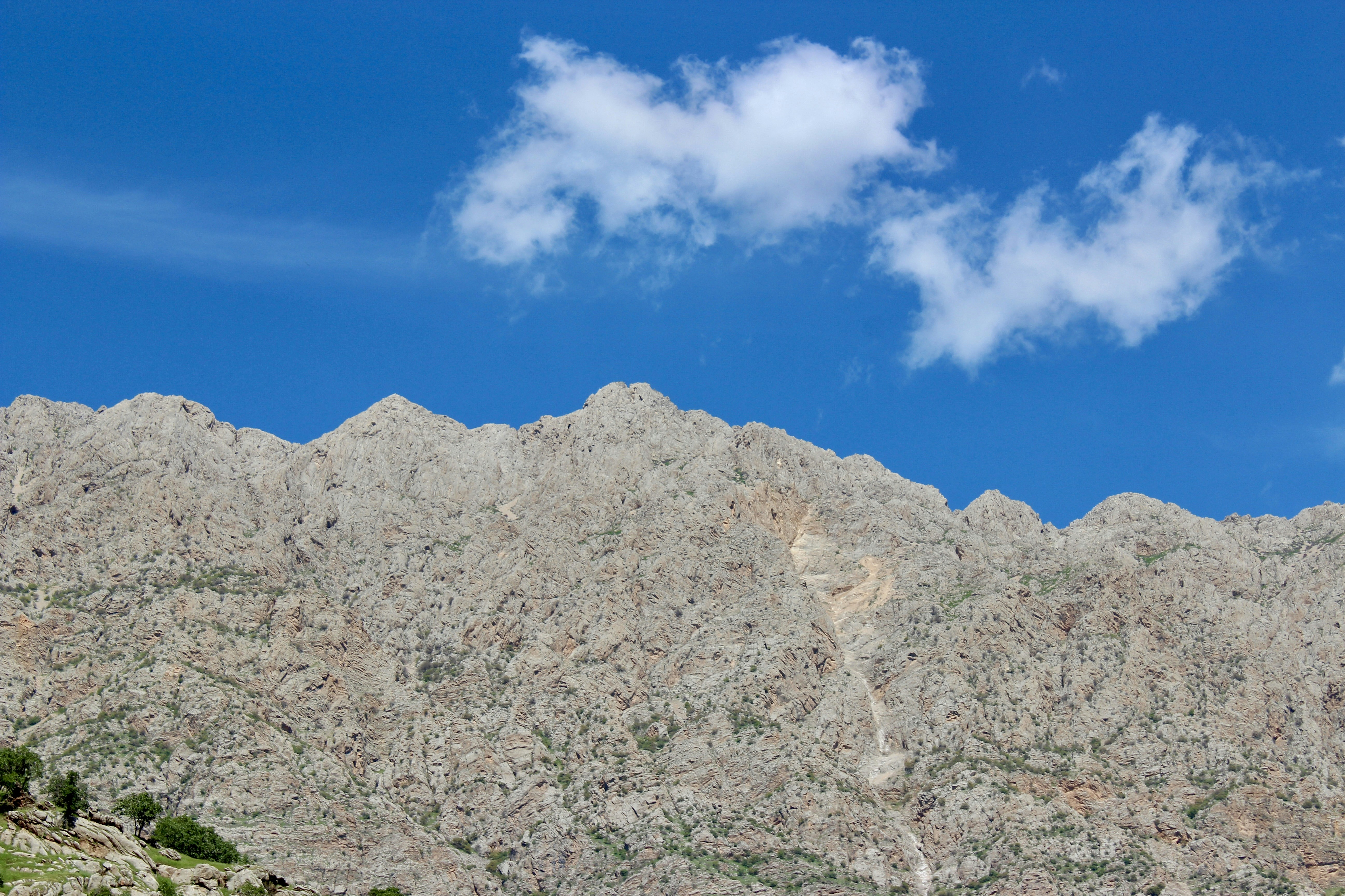 Photo by shimabadakhshan