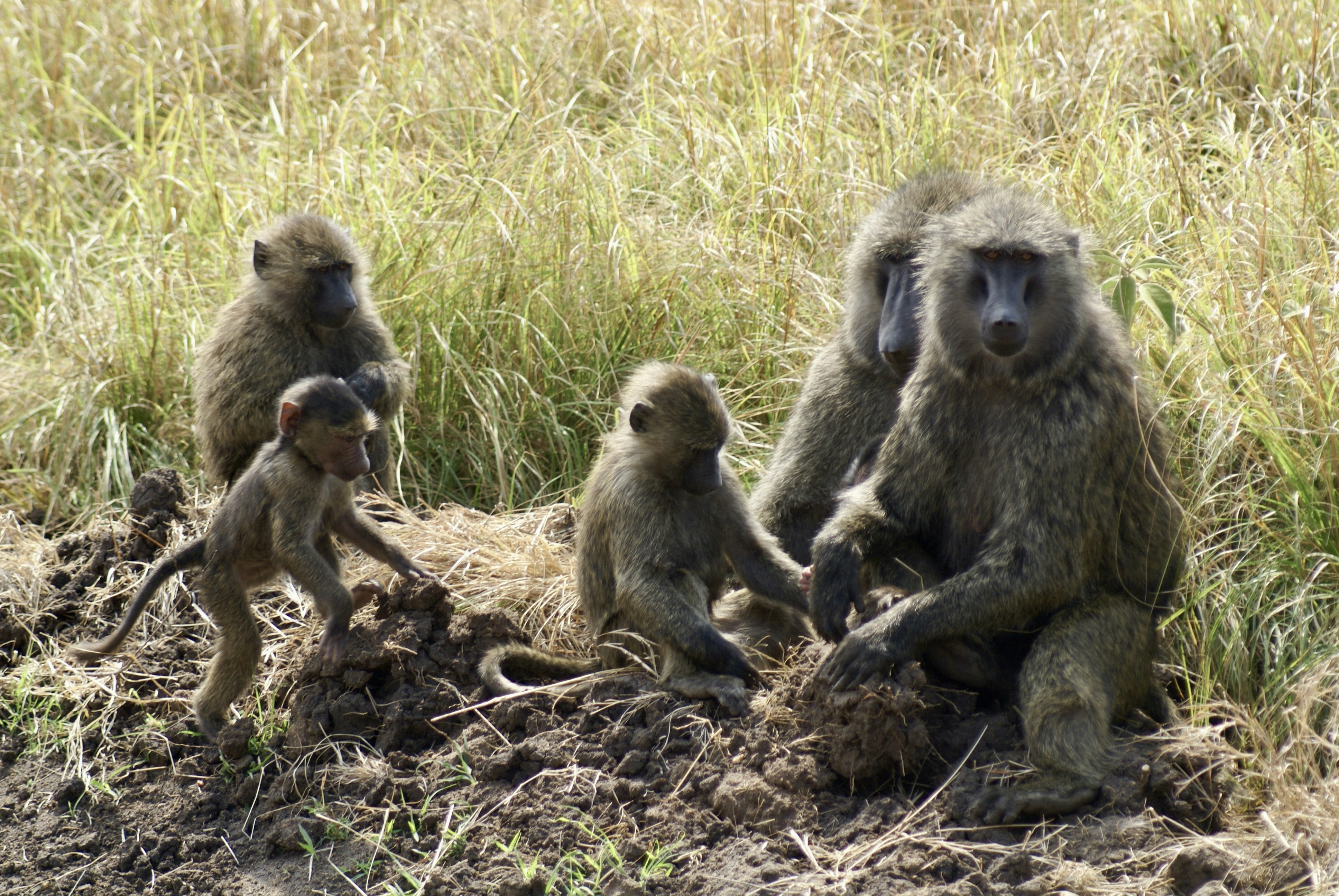 Photo by lisastockton