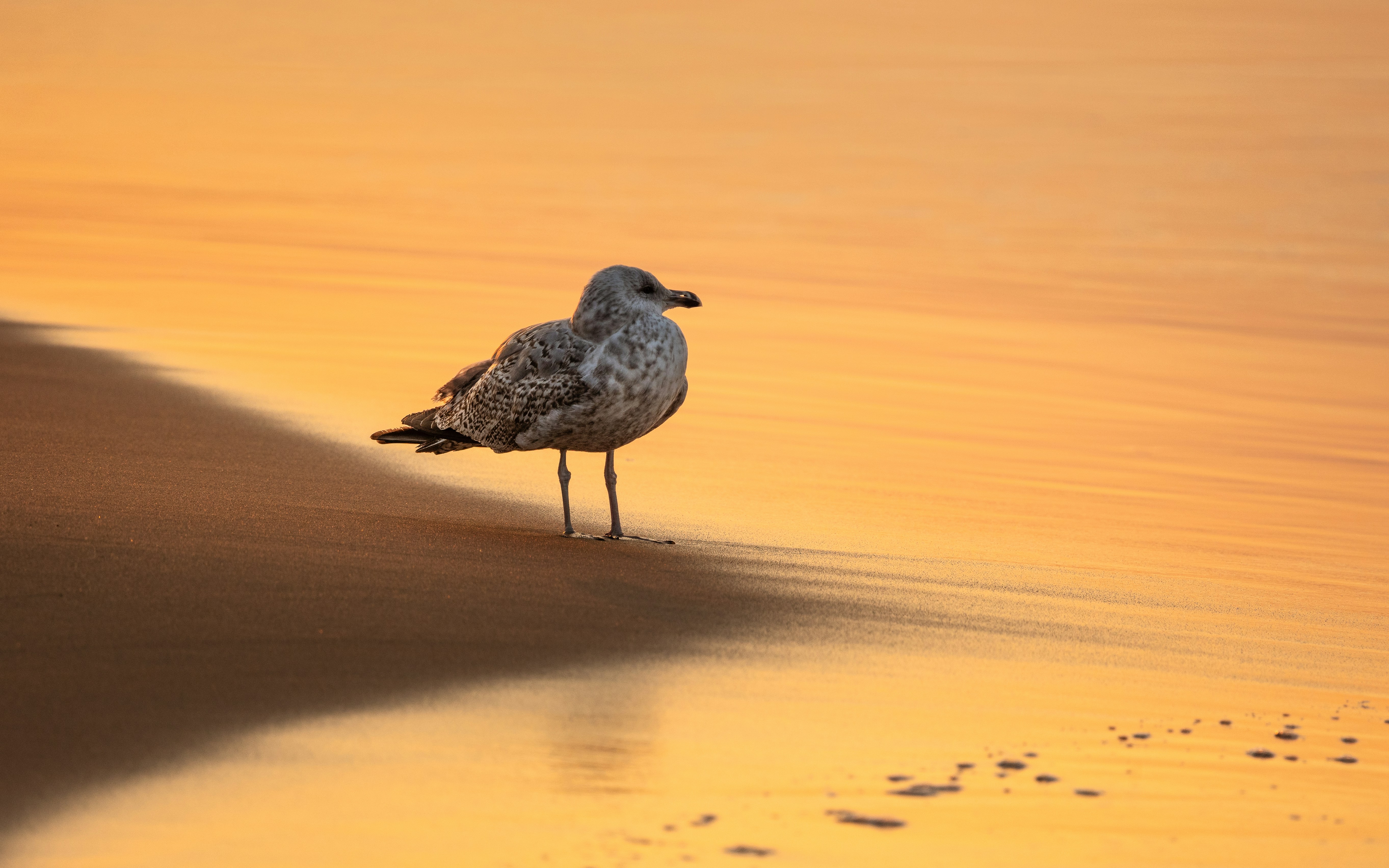 Photo by marekpiwnicki