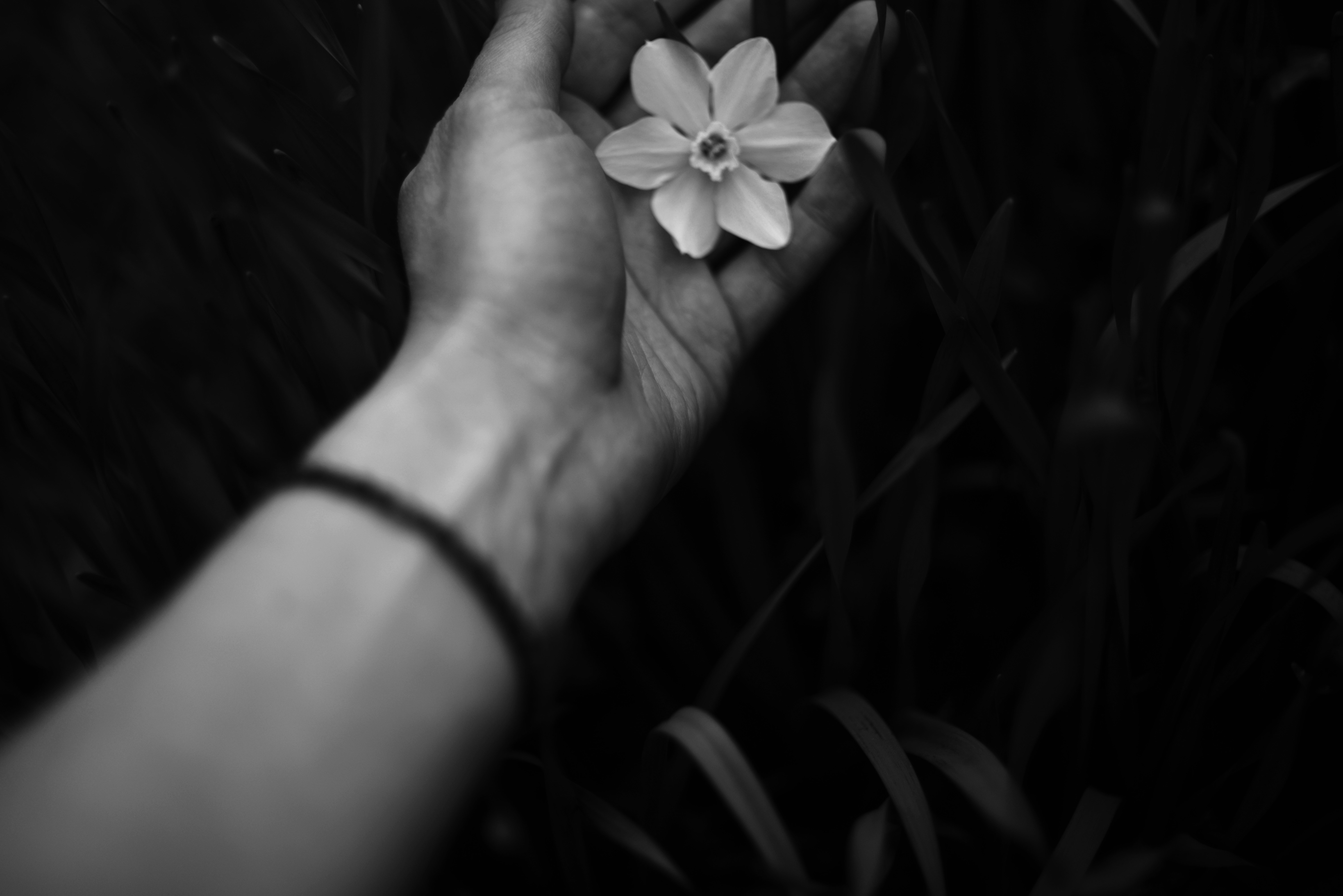 Photo by cherstve_pechivo