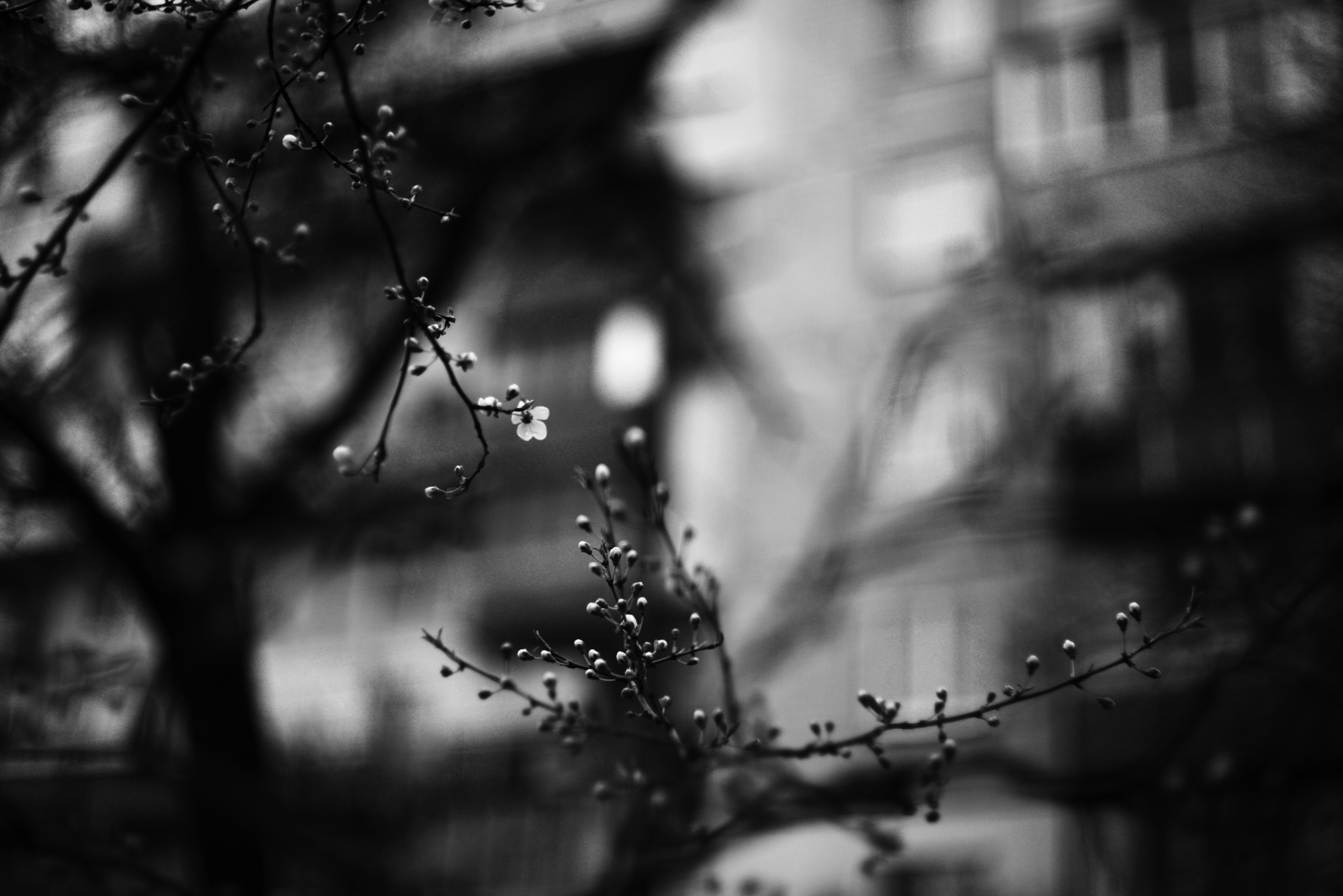 Photo by cherstve_pechivo