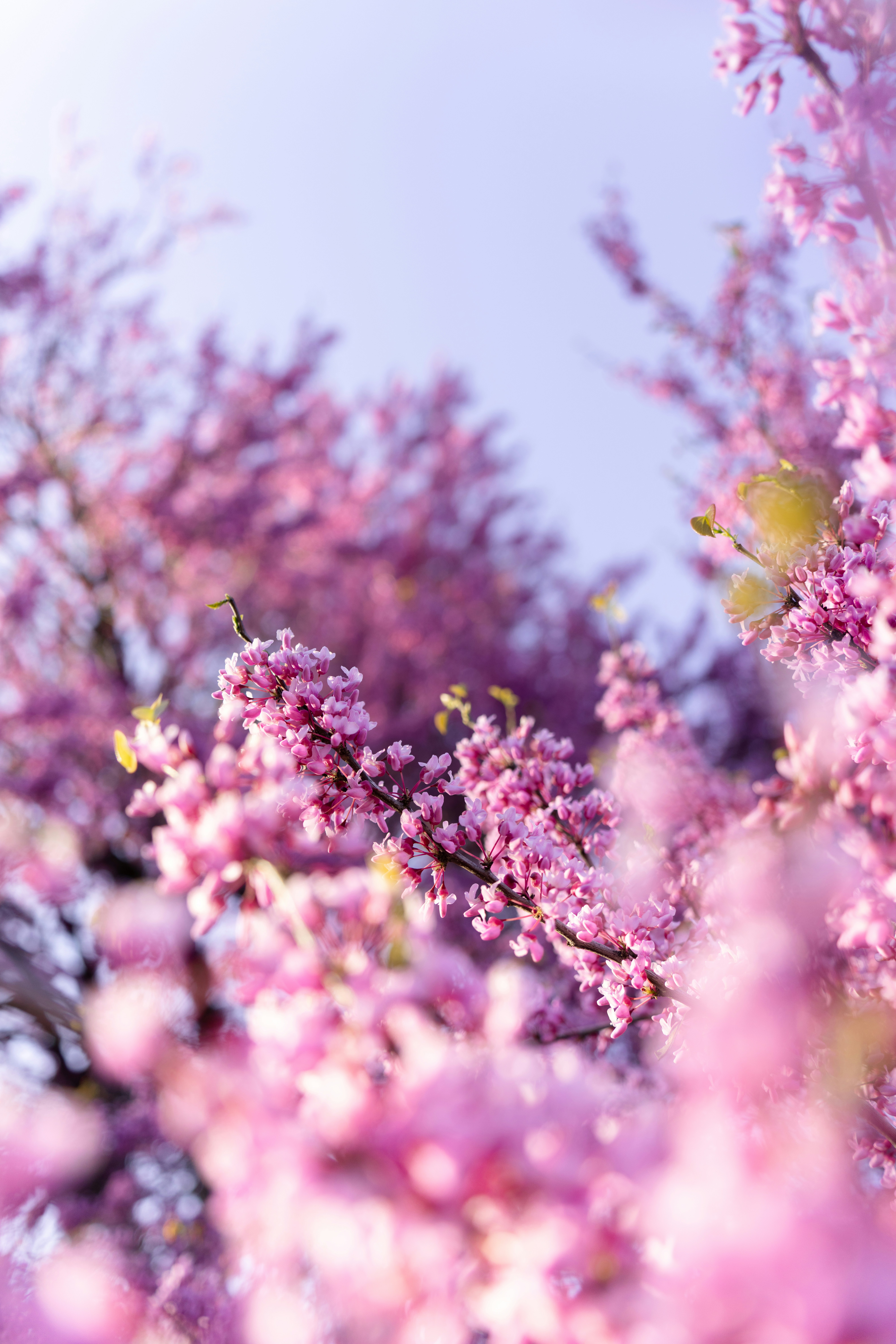 Photo by alexmoliski