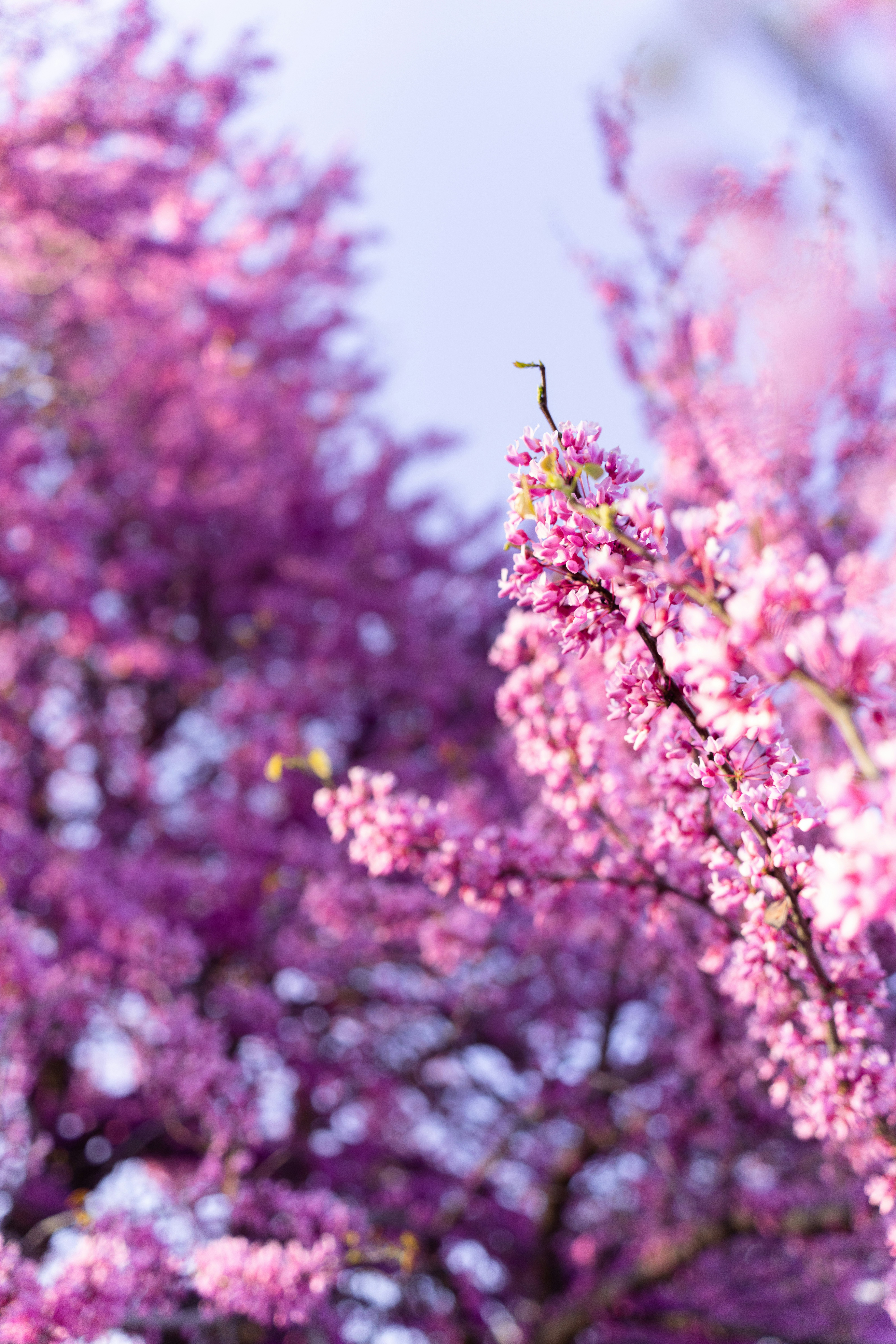 Photo by alexmoliski