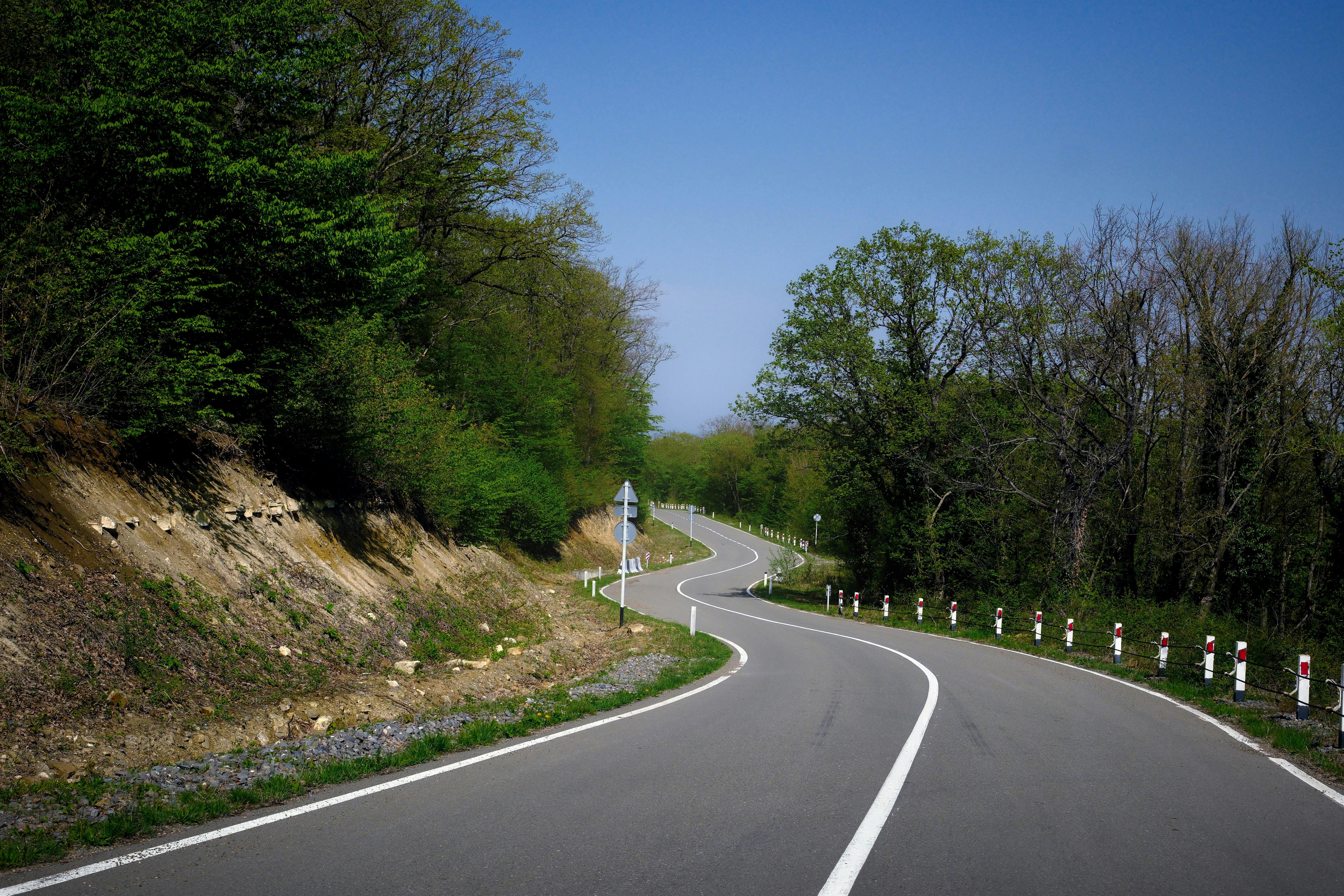 Photo by mrparalloid