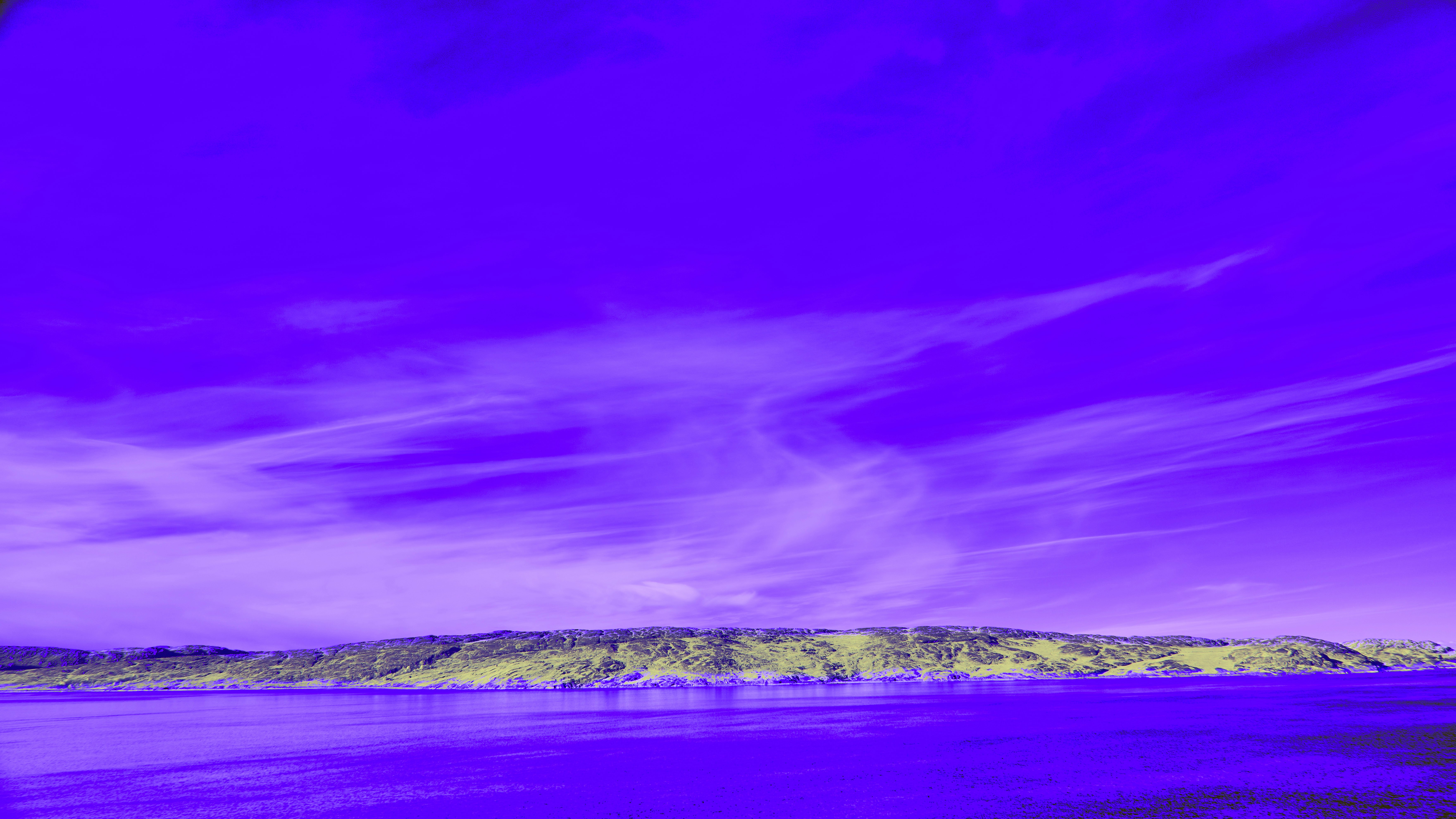 Photo by wolfgang_hasselmann