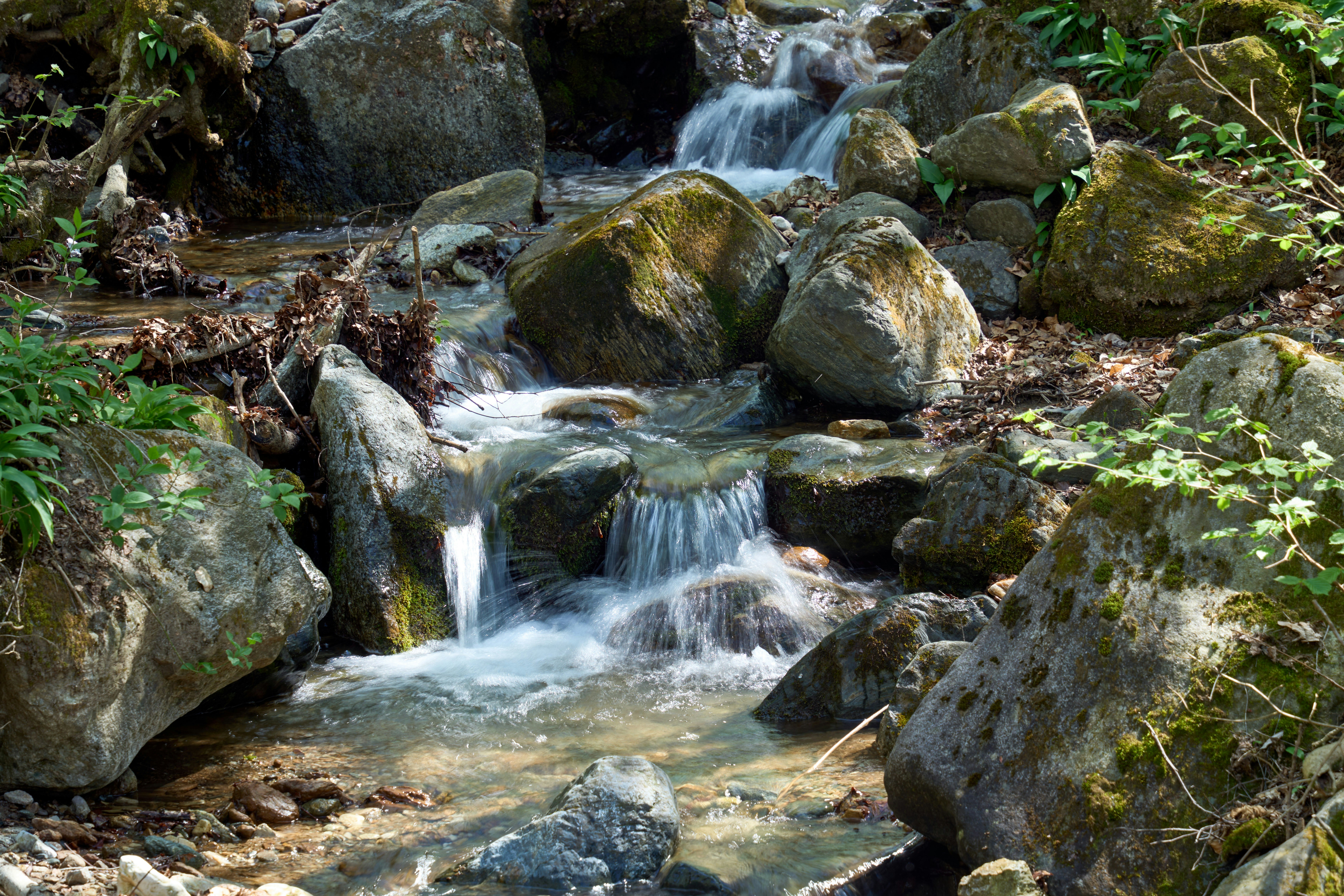 L'eau tombe en cascade sur les rochers dans un beau ruisseau. photo – Image  gratuite de Terre sur Unsplash, image size:3000x2000