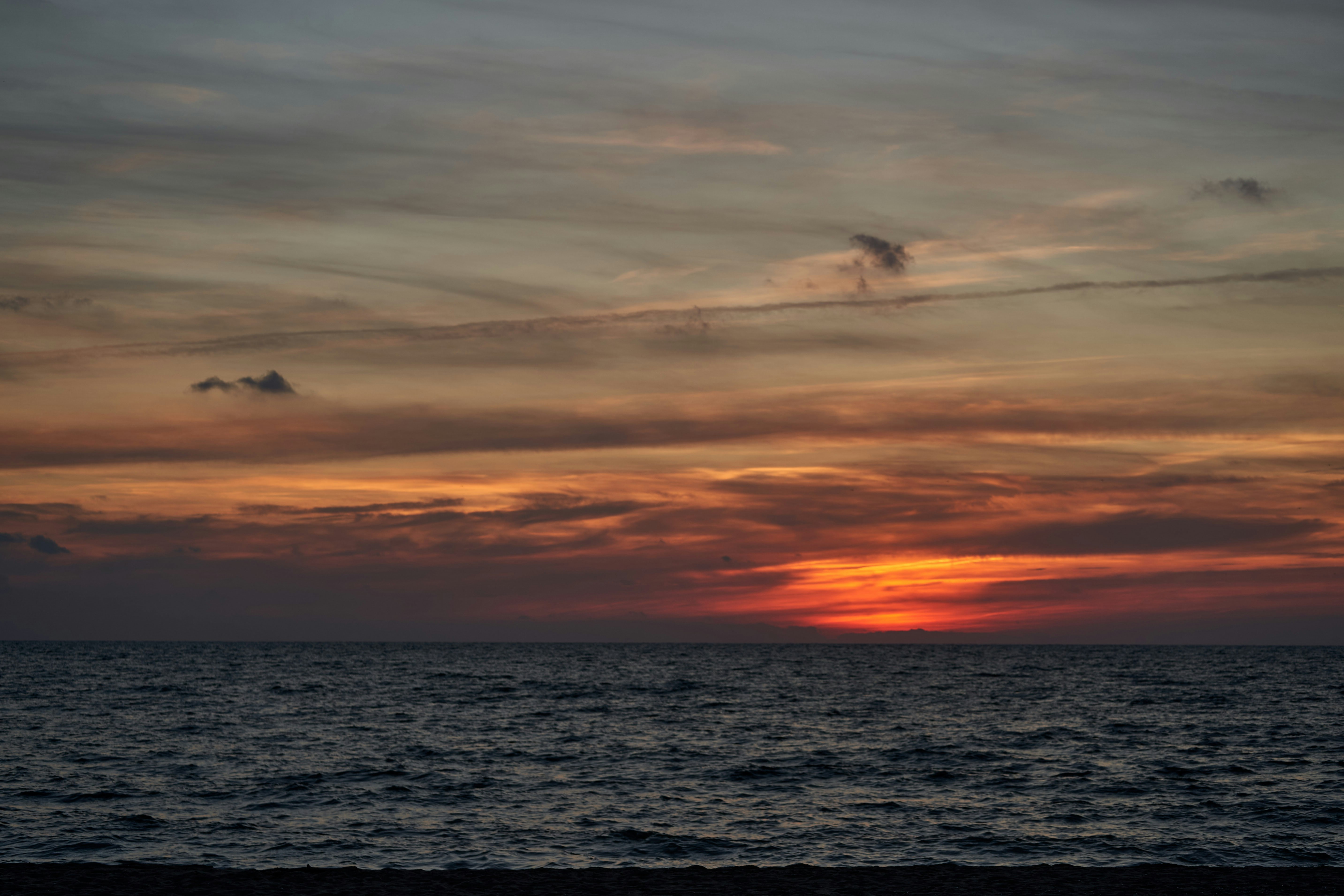 Photo by wolfgang_hasselmann