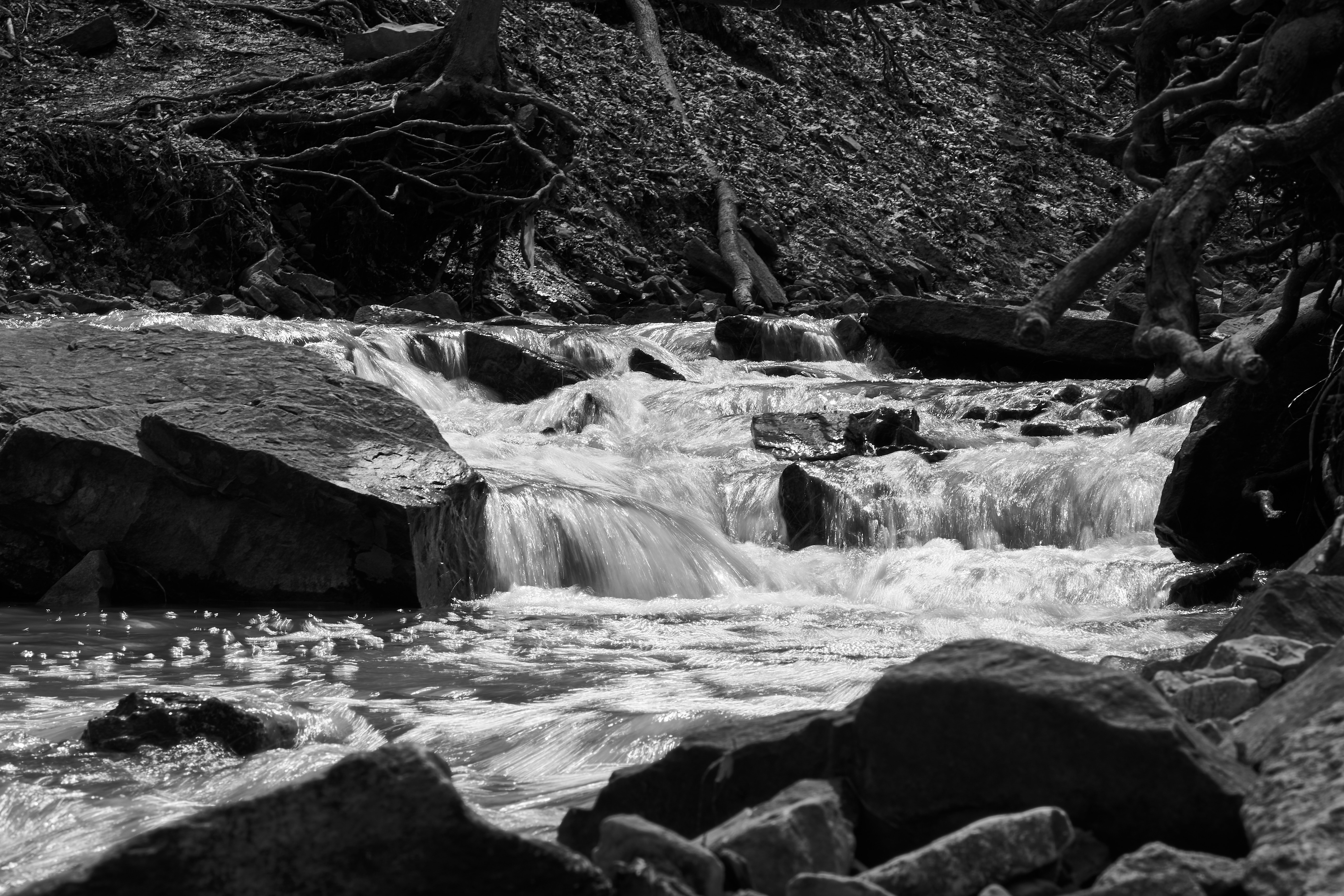 Photo by wolfgang_hasselmann