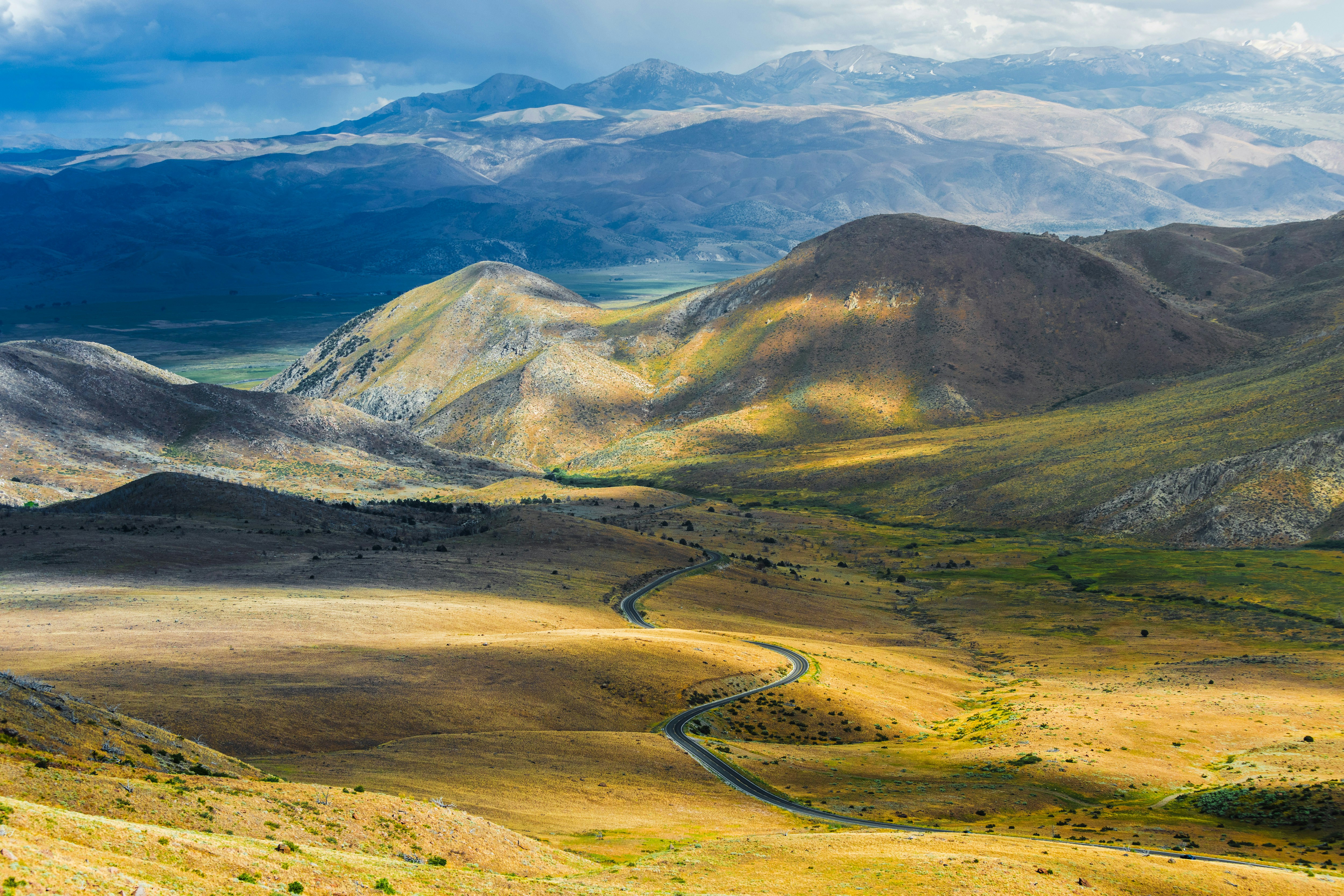 Photo by jamie_macro