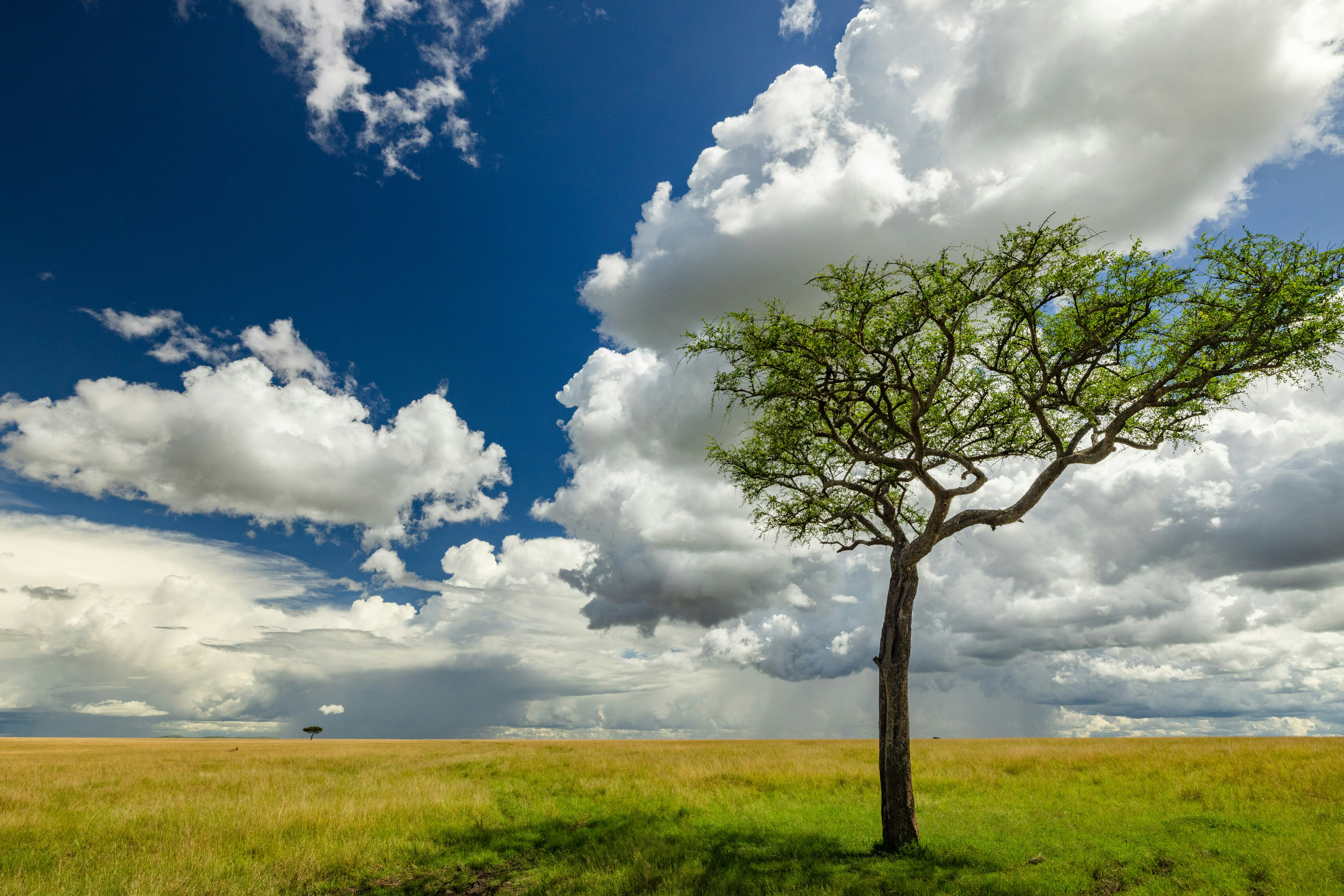 Photo by jamie_macro