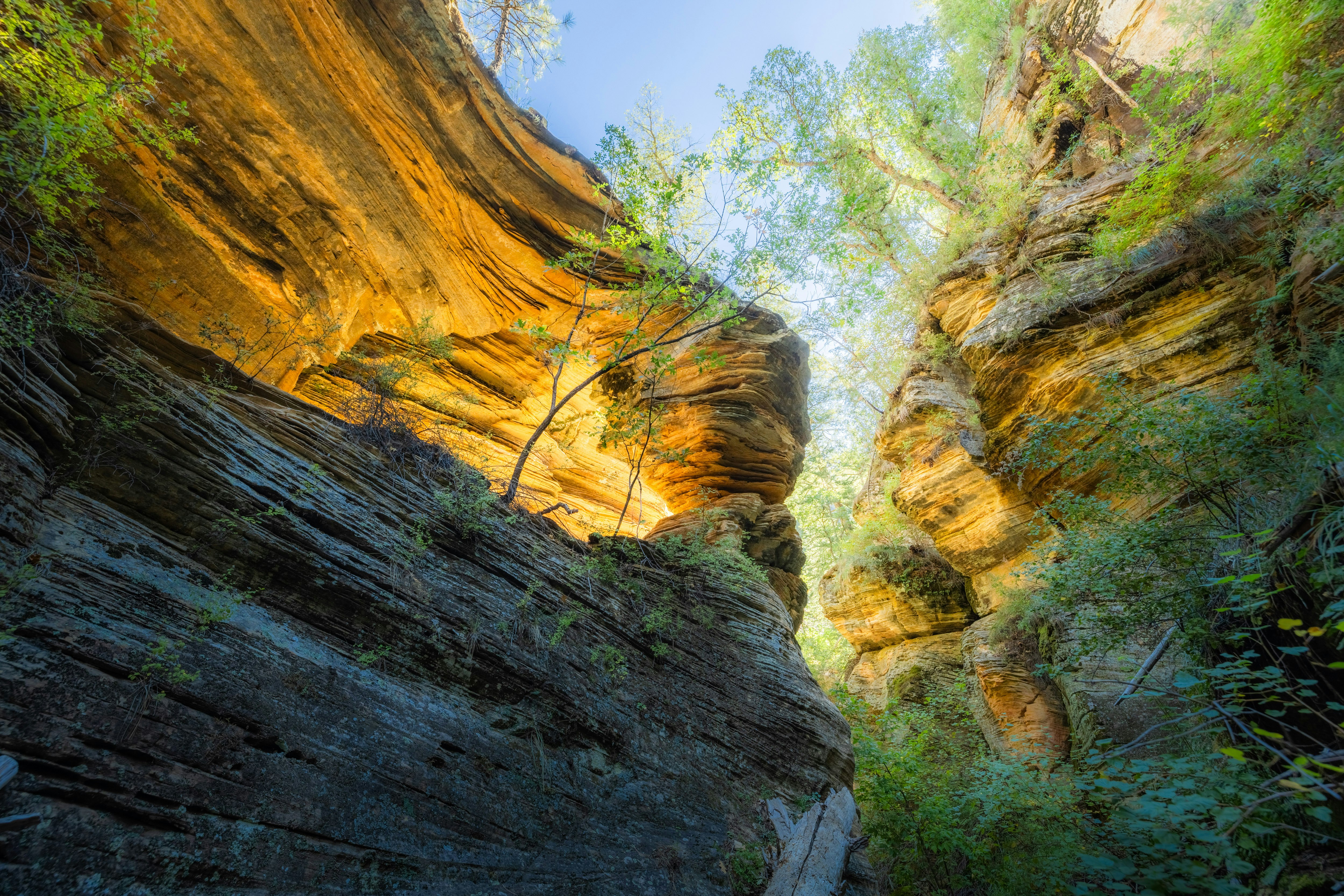 Photo by jamie_macro