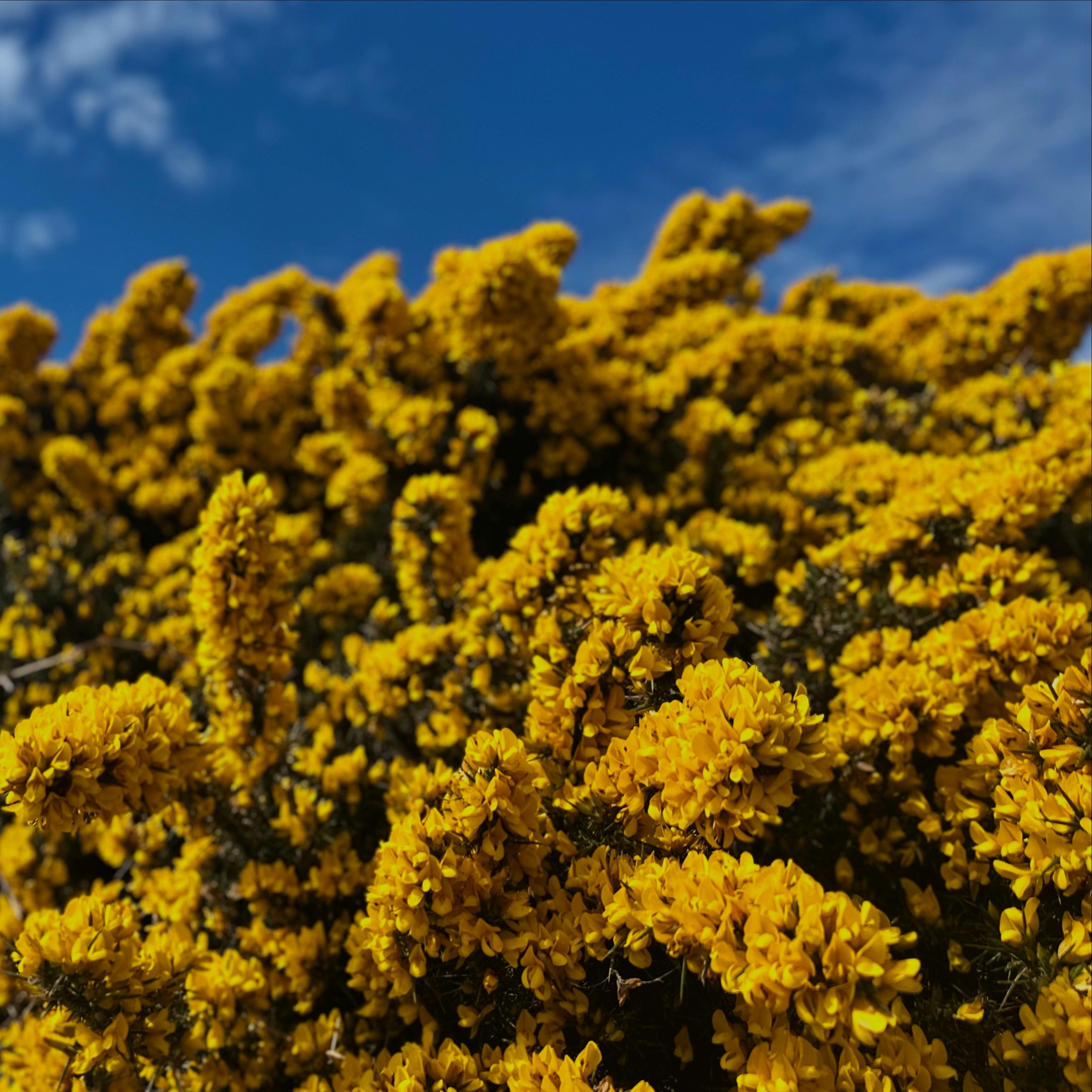 Photo by brendondube95