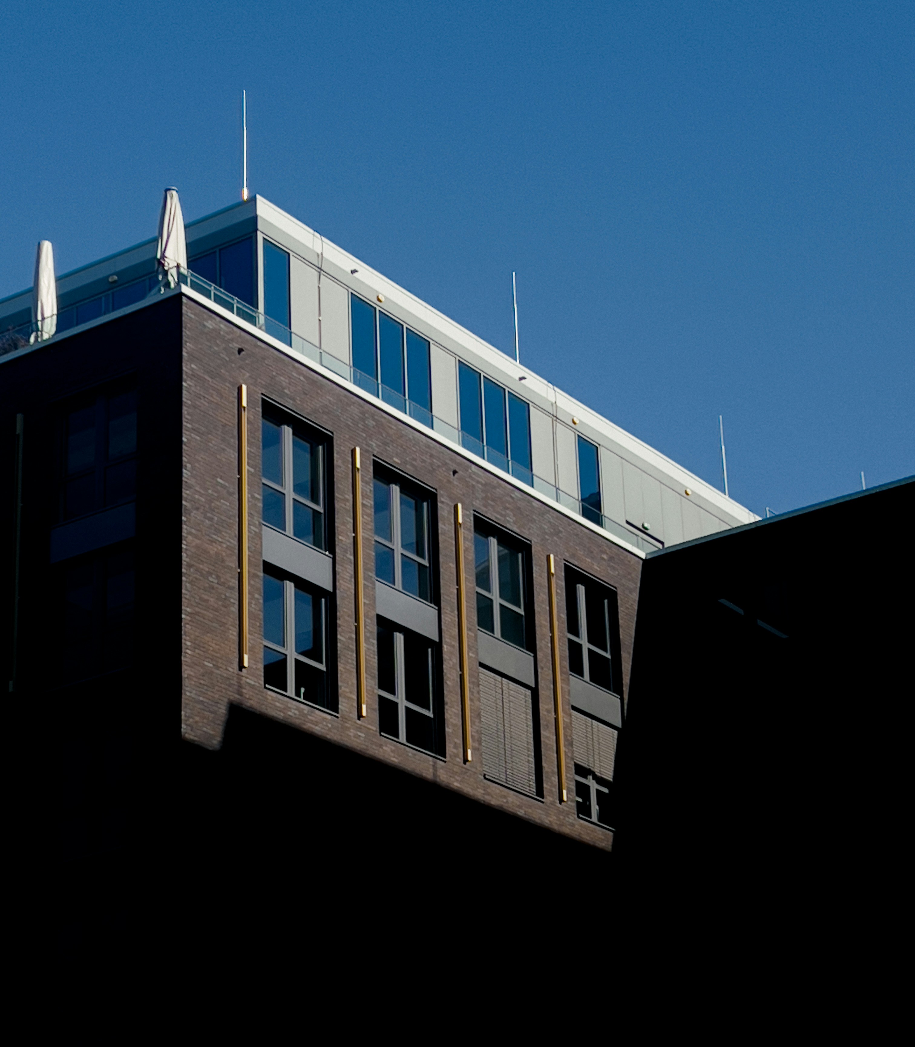 Photo by lorenzosardelli