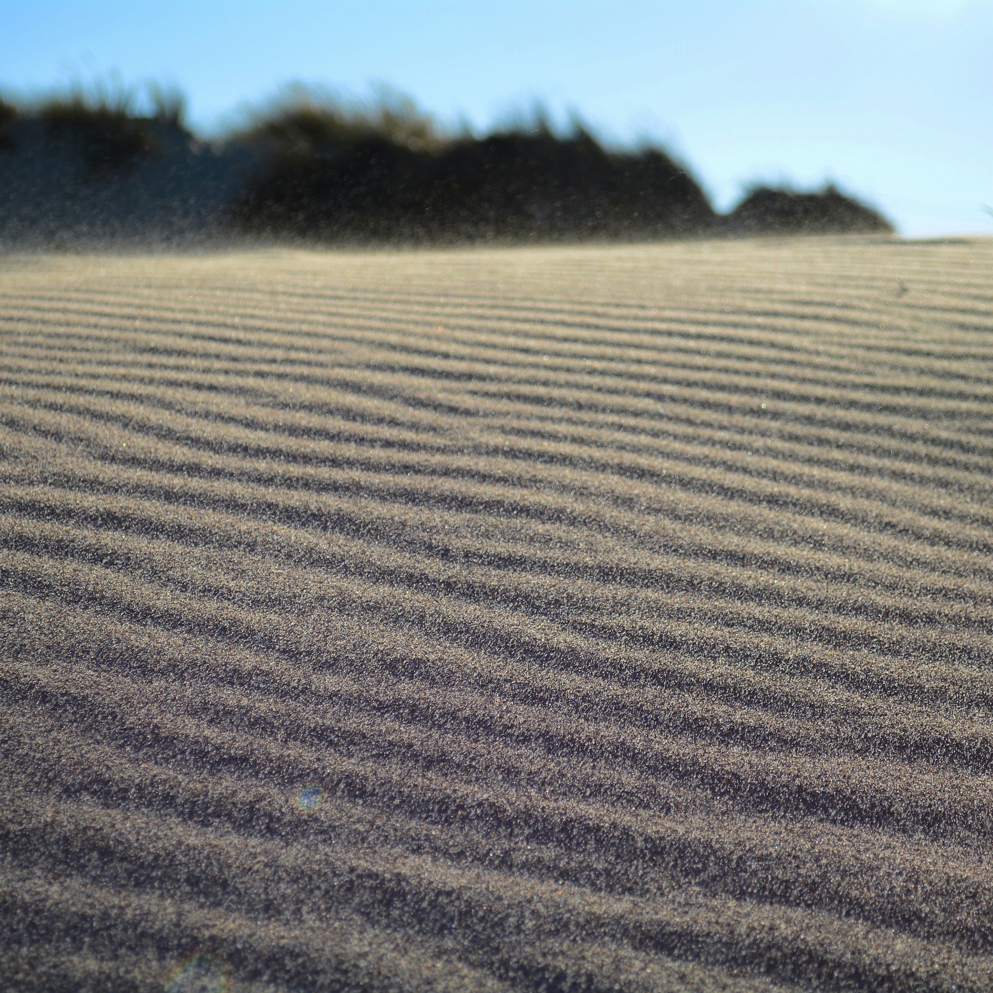 Photo by santiago_92