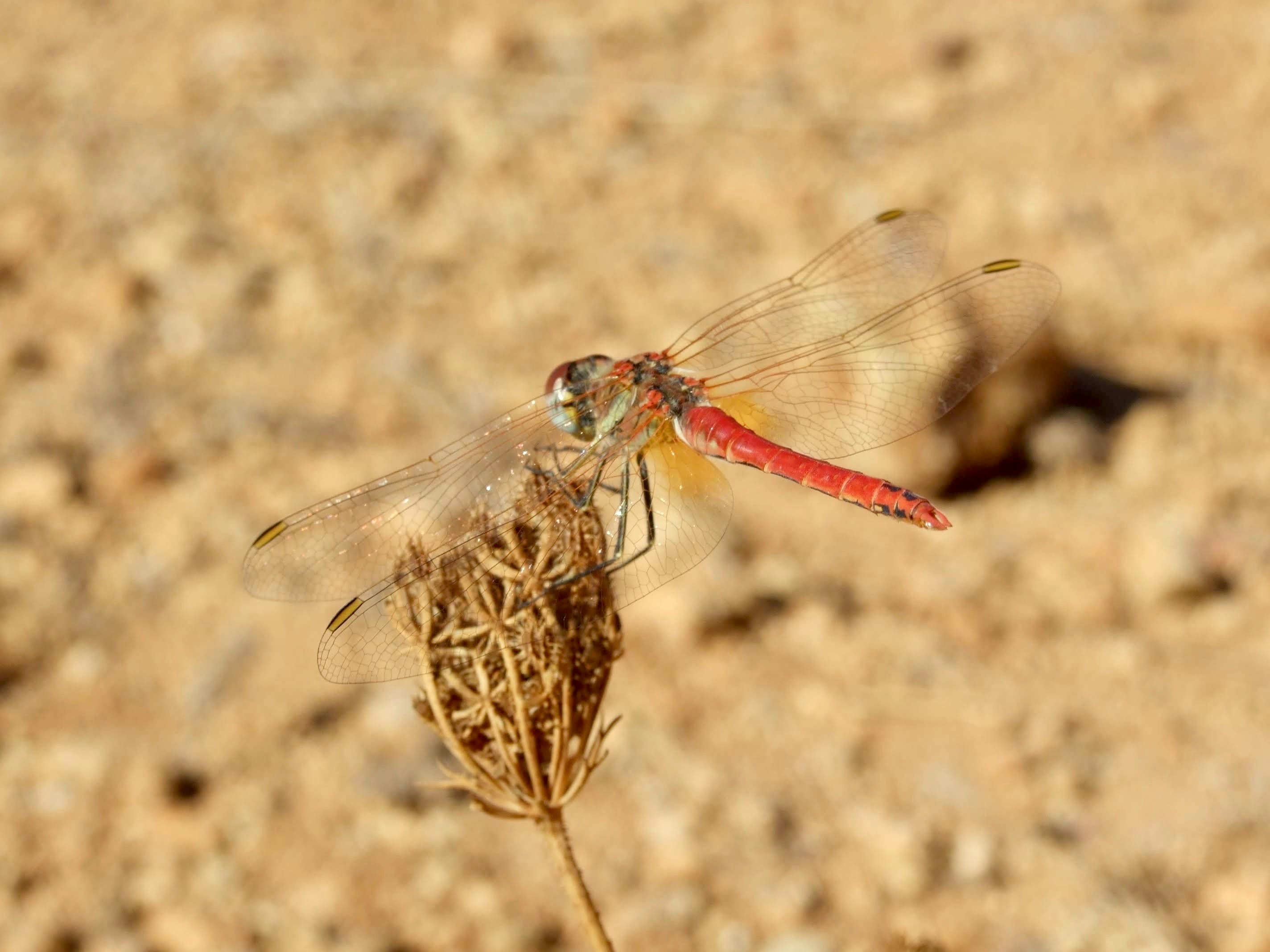 Photo by santiago_92