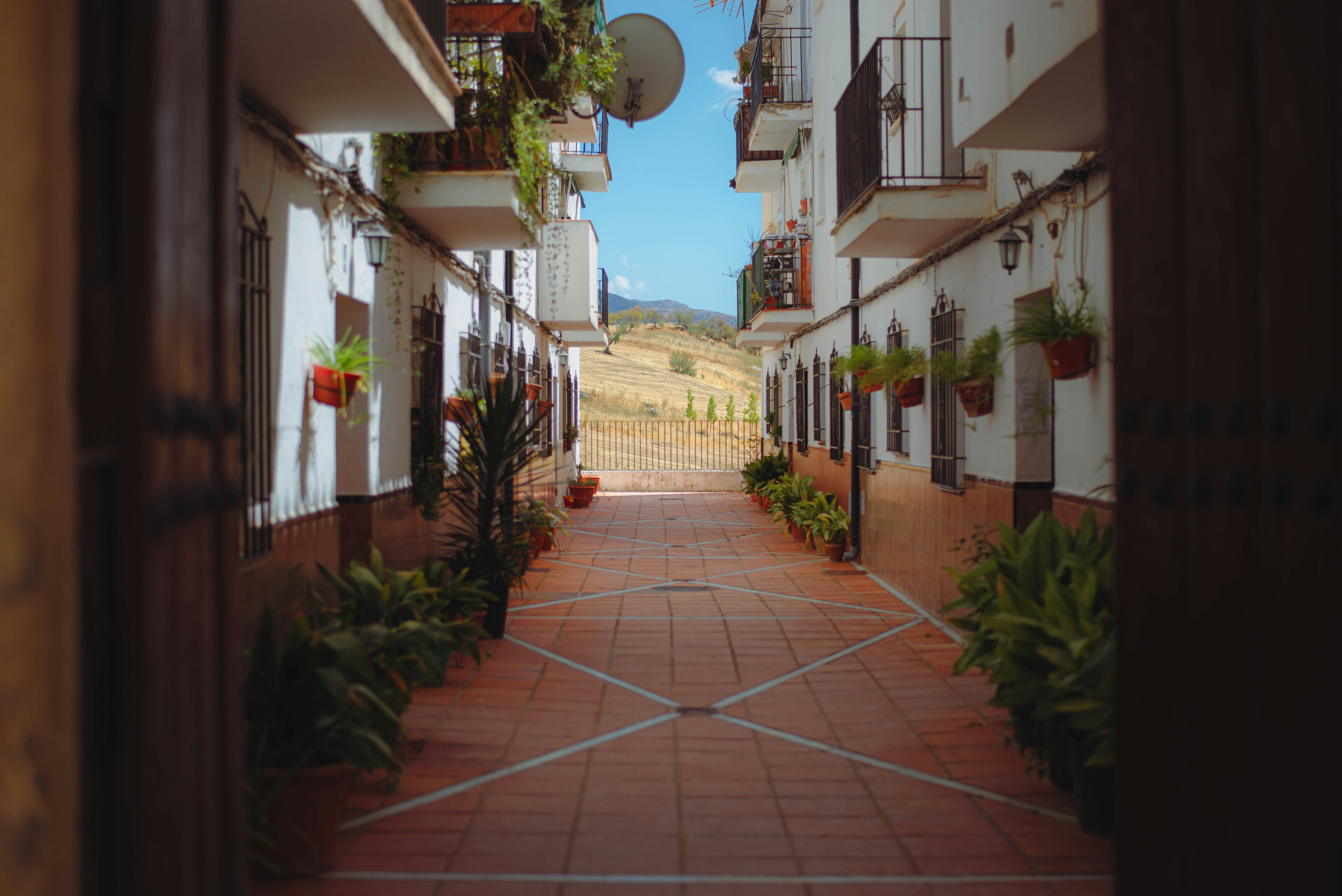 A cobblestone pathway leads to a sunny landscape.