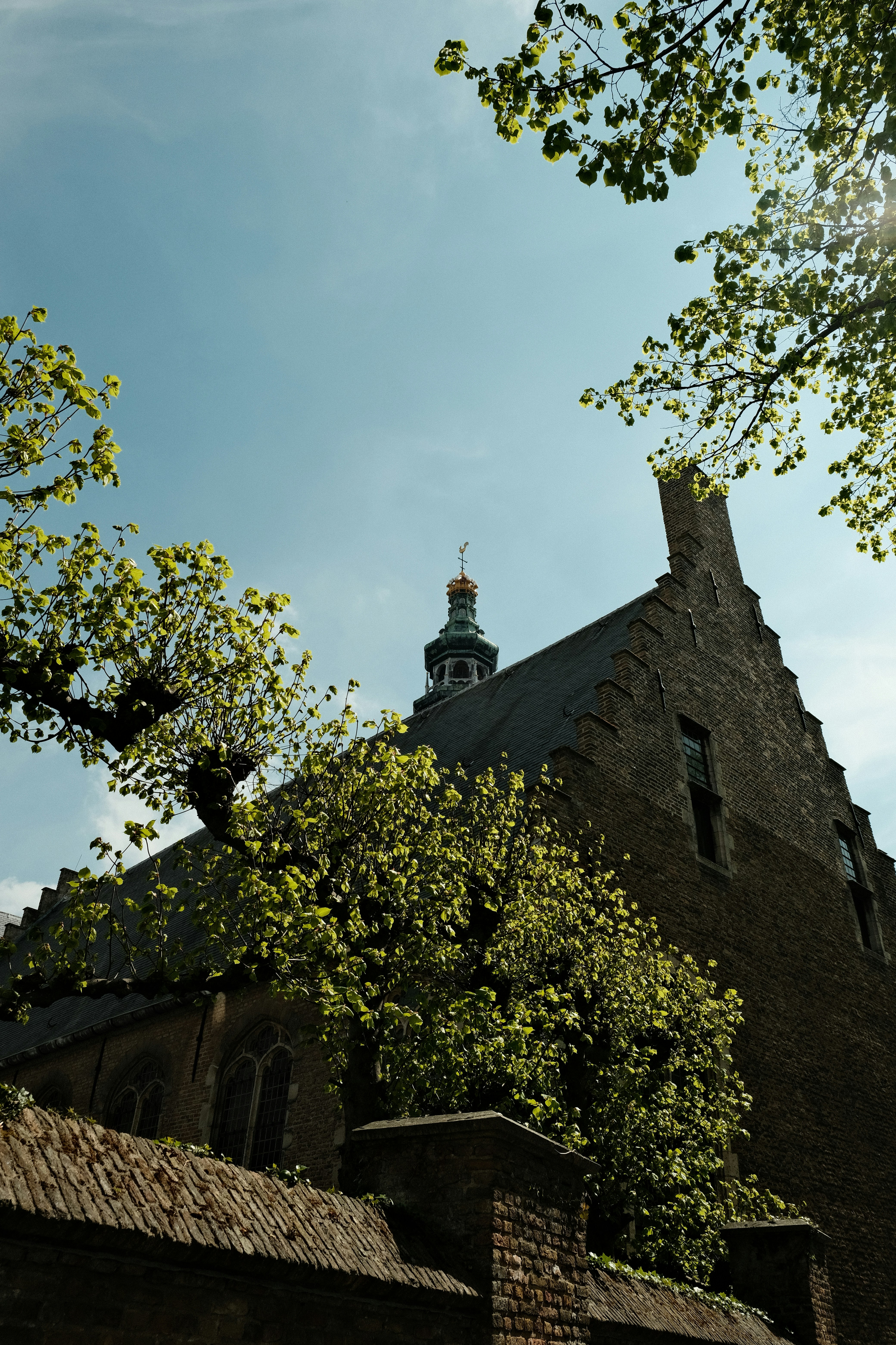 Building and sky are framed by leafy branches.