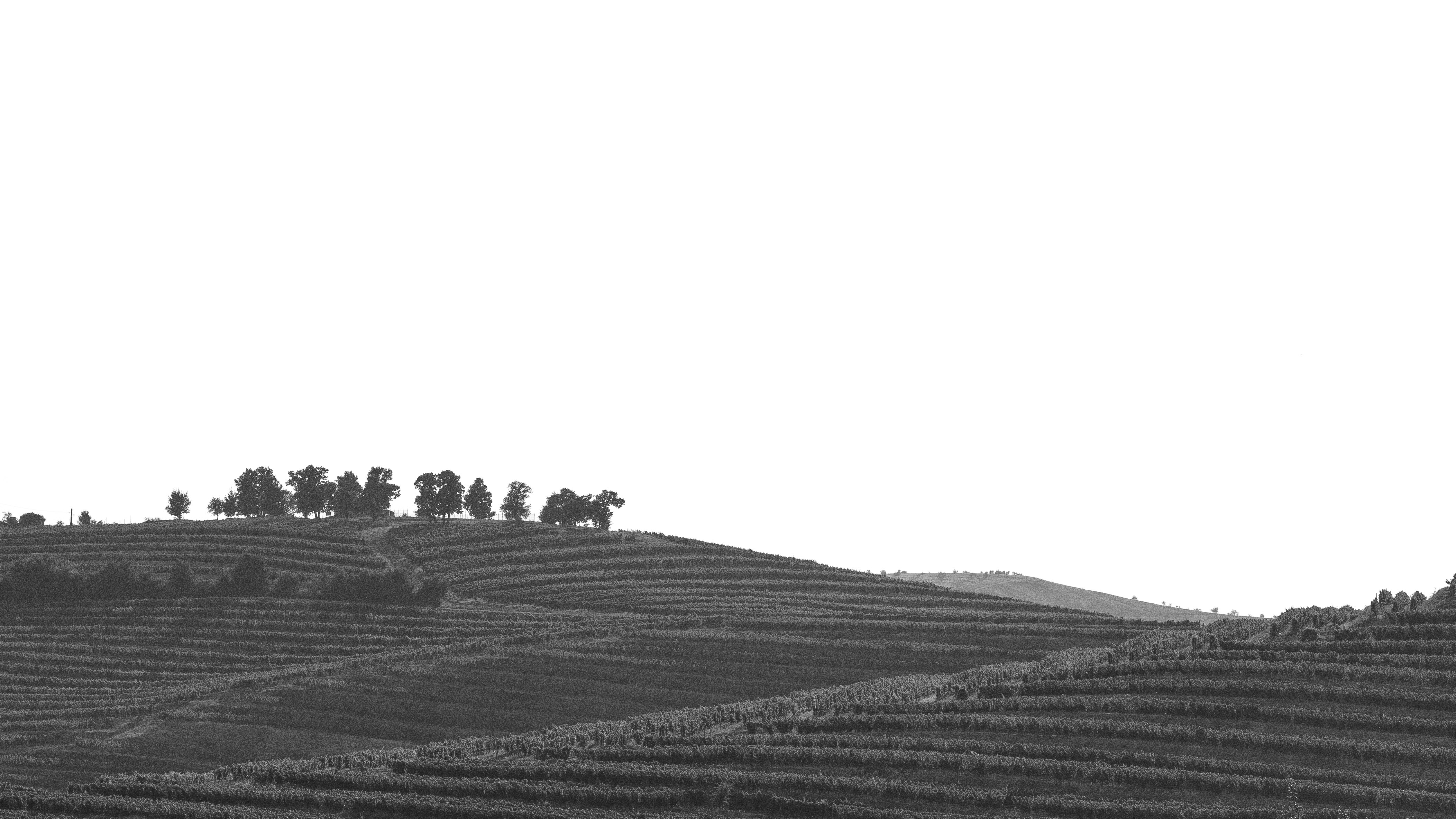 Orta Çağ'da geleneksel tarım tekniklerini, tarlada sabanla çift süren köylüleri ve dönemin tarımsal yaşamını tasvir eden bir görsel.
