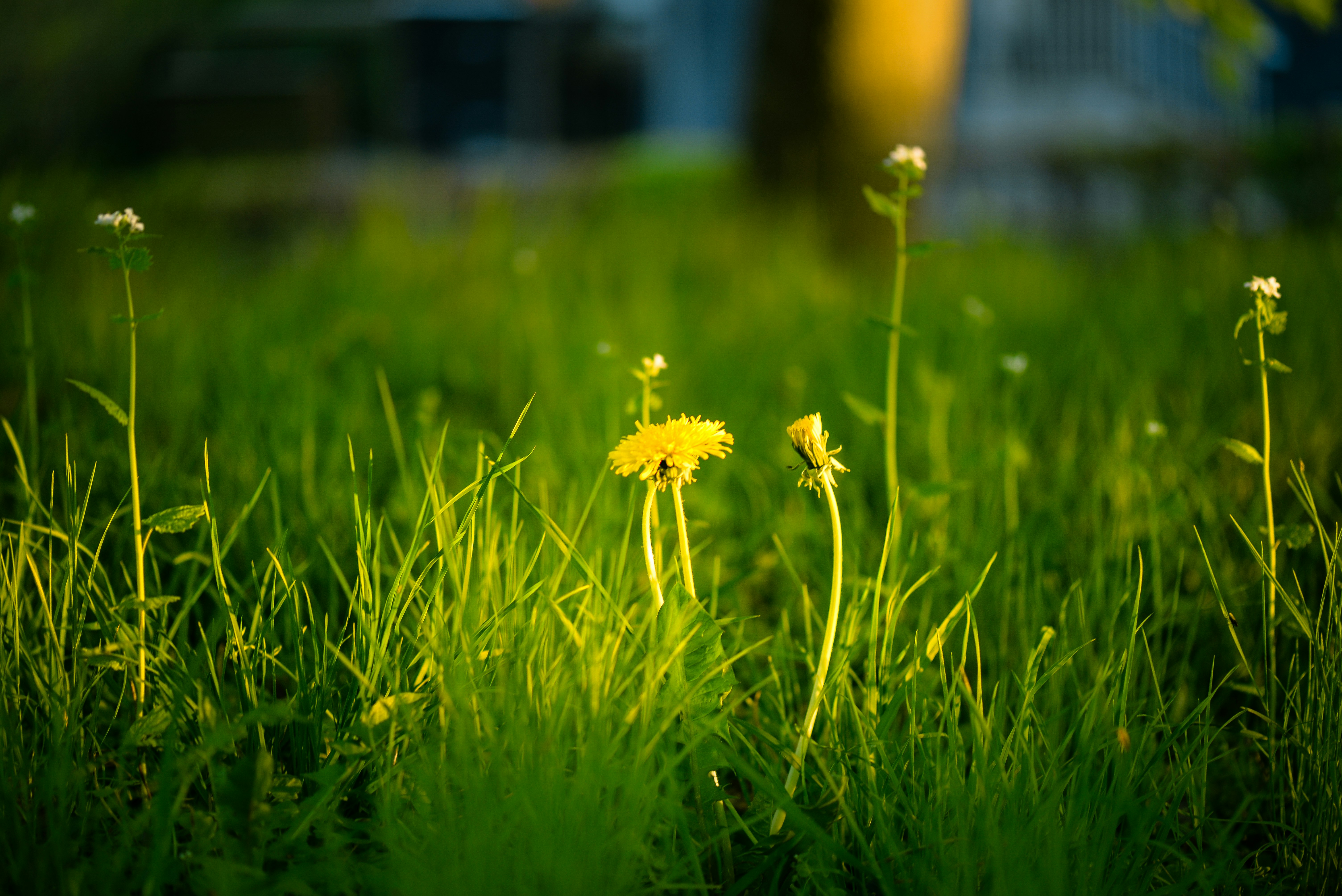 Photo by omikron