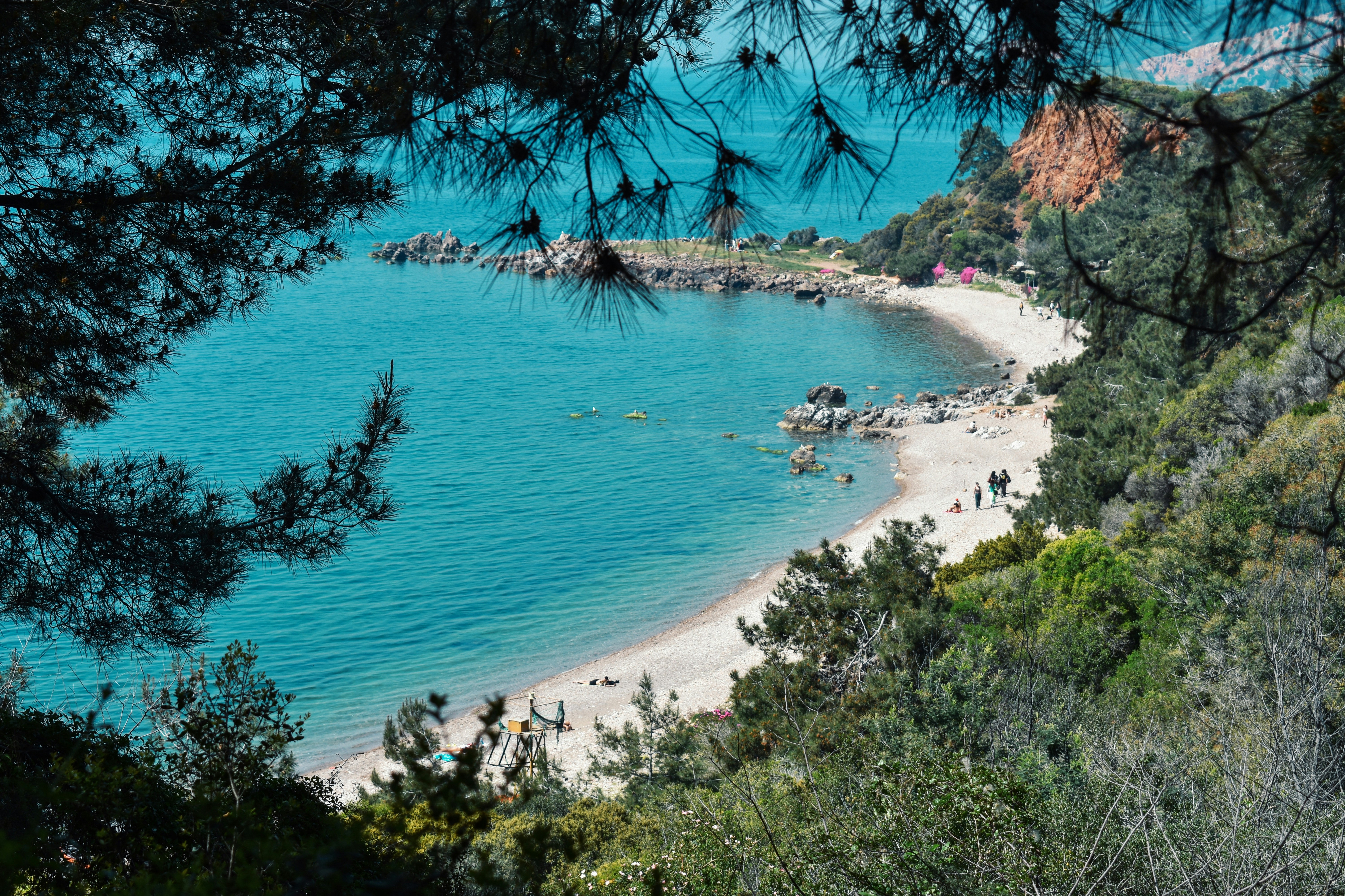 Photo by nisacokokumus