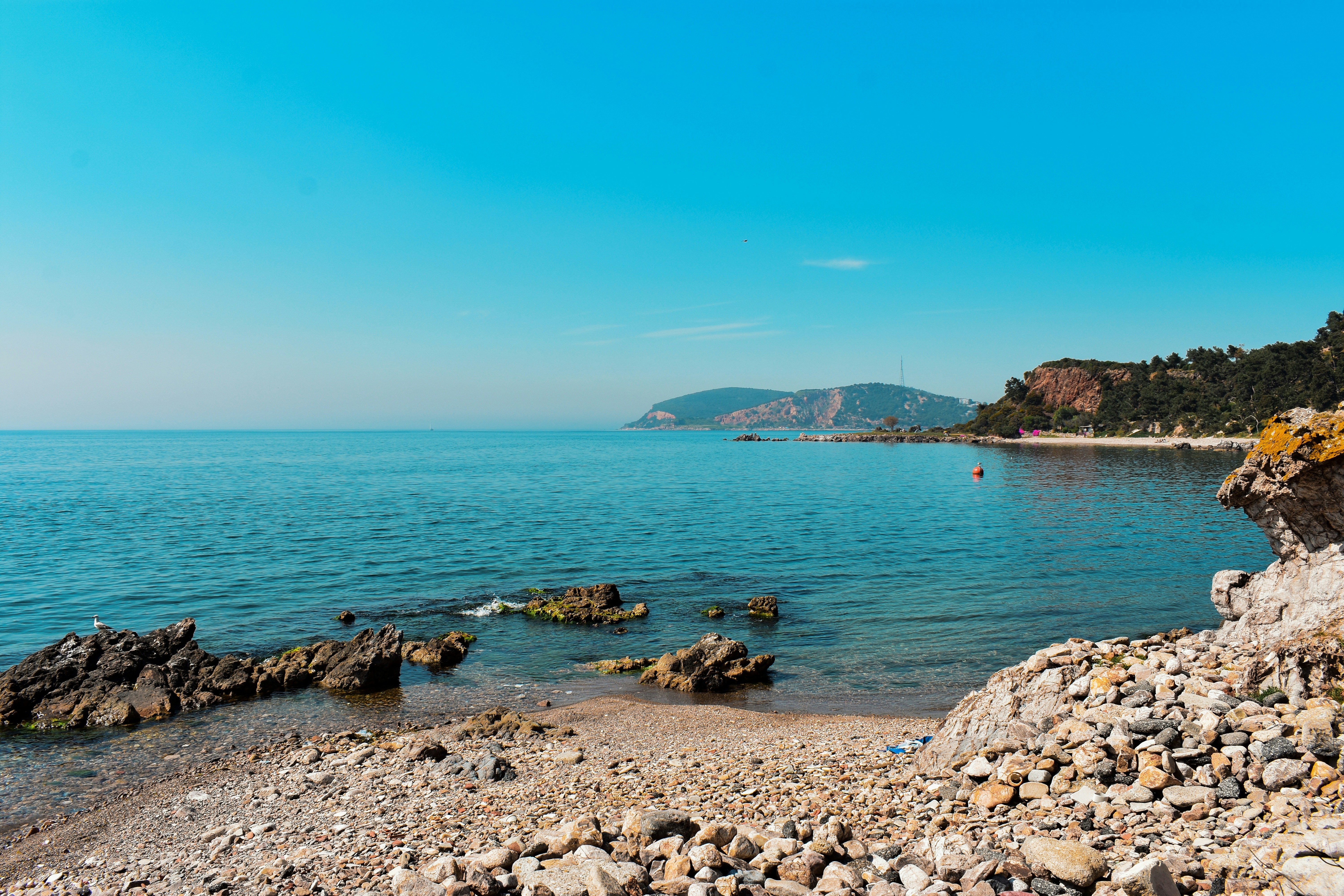 Photo by nisacokokumus