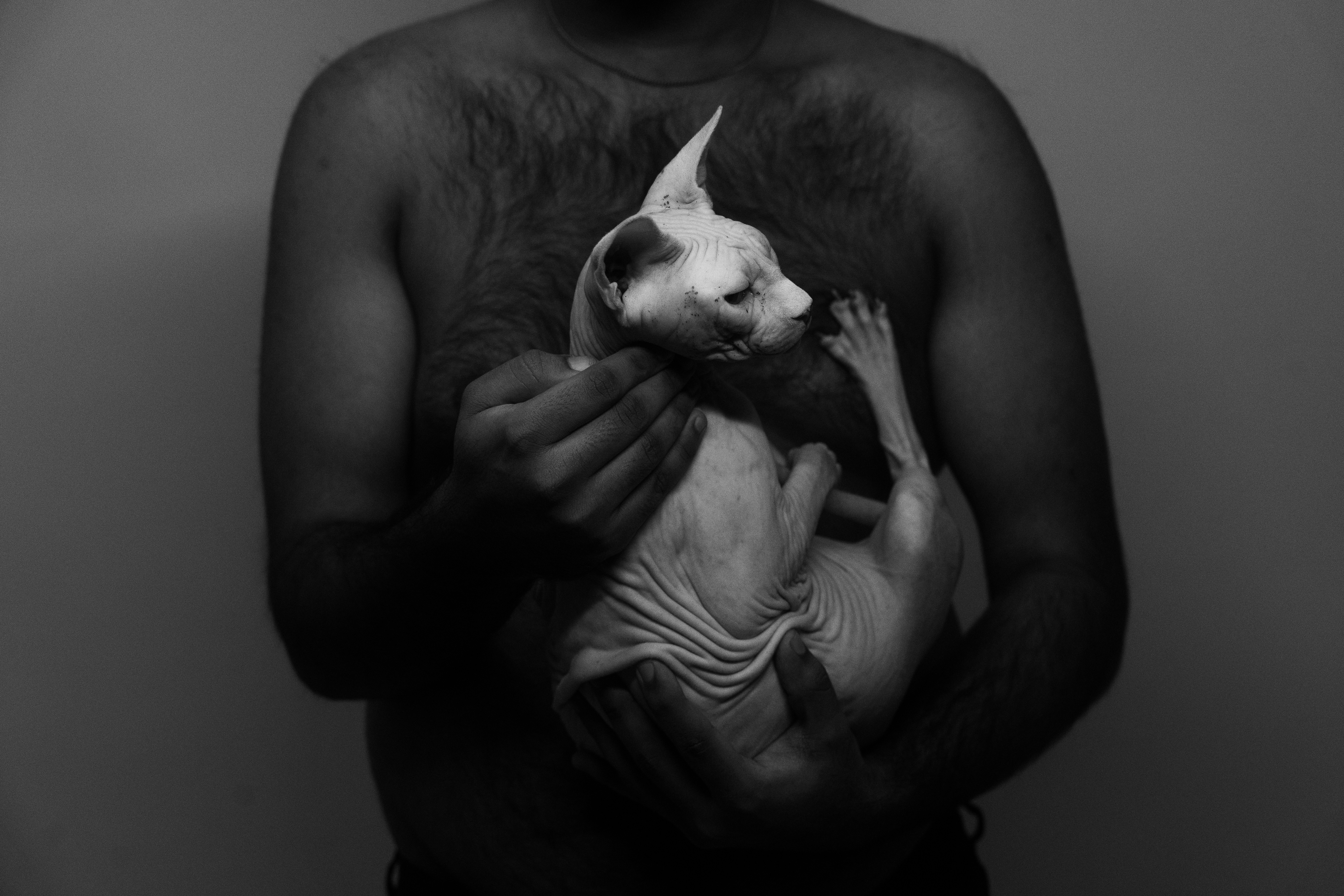 Man with sphynx cat