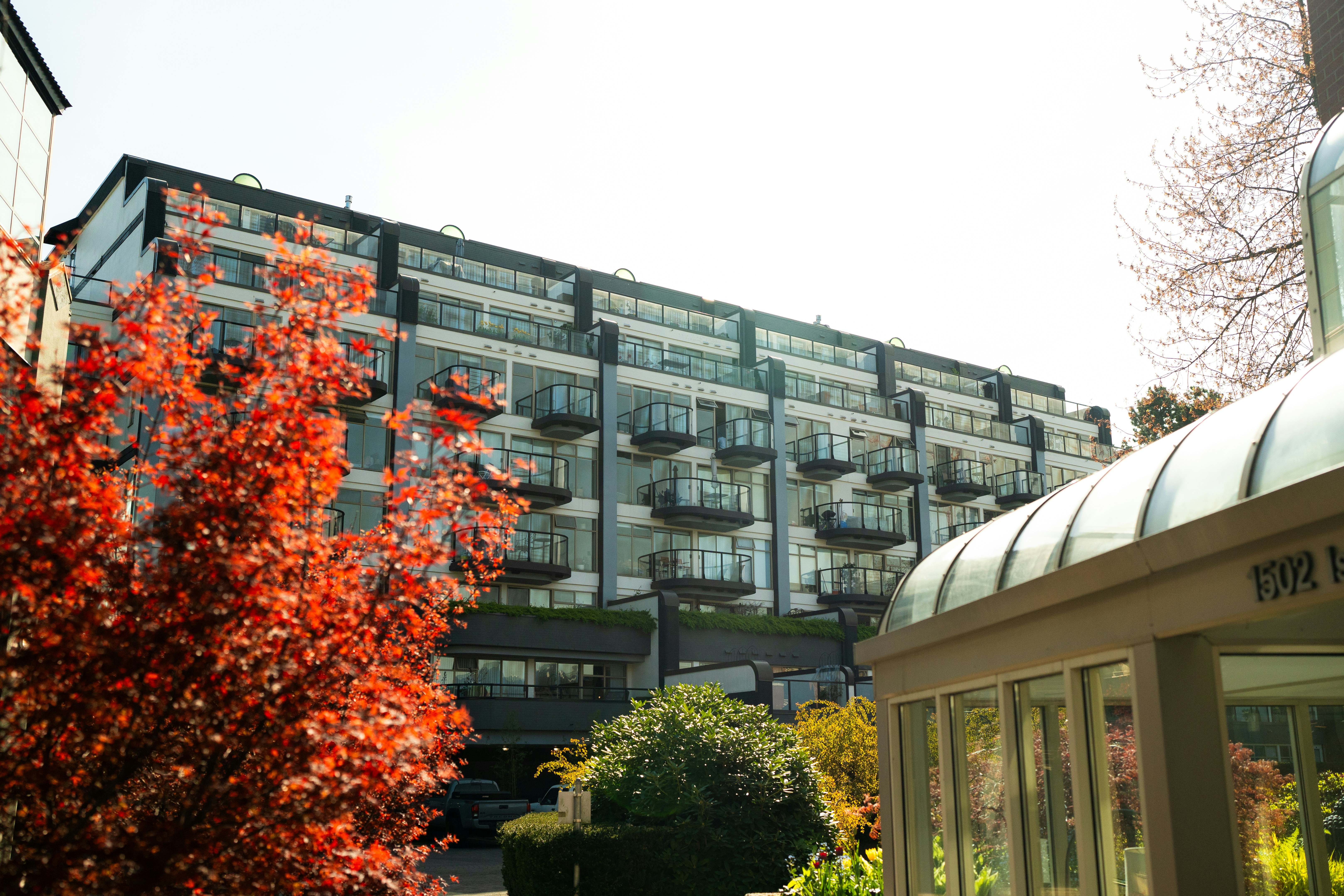 Photo by mbcarterphotography