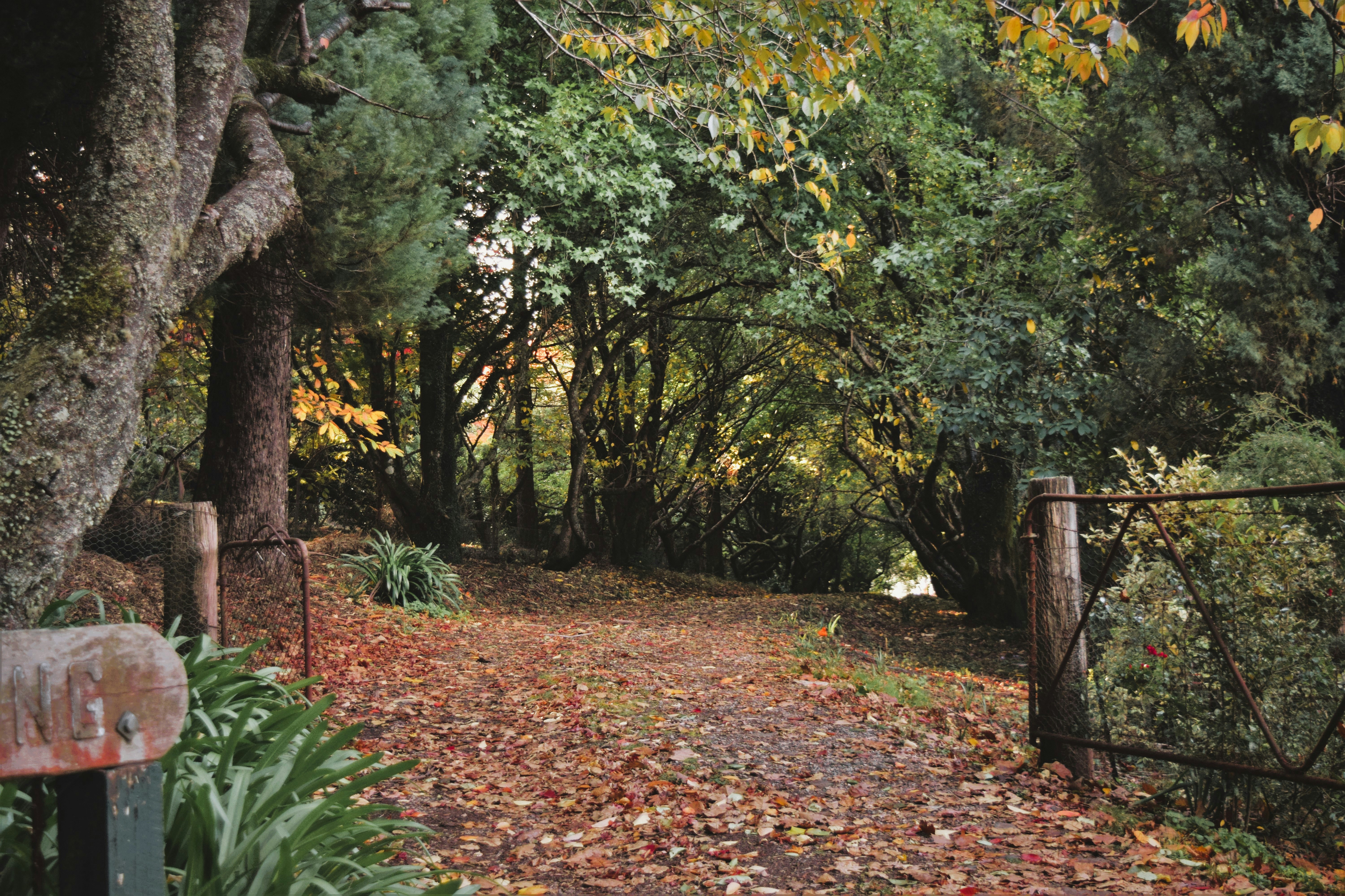 Photo by ch_photography