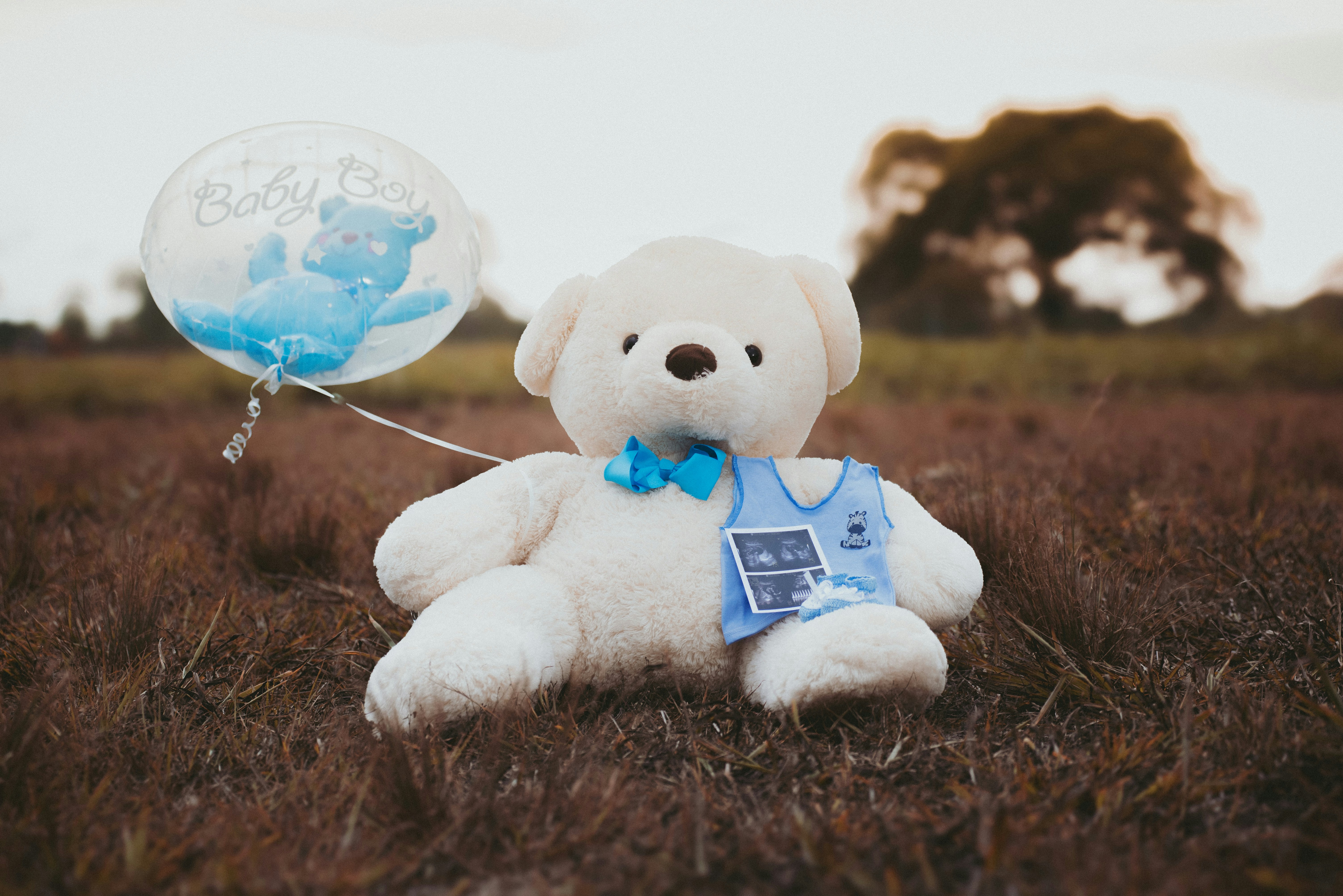 Photo by daniel__reyes_