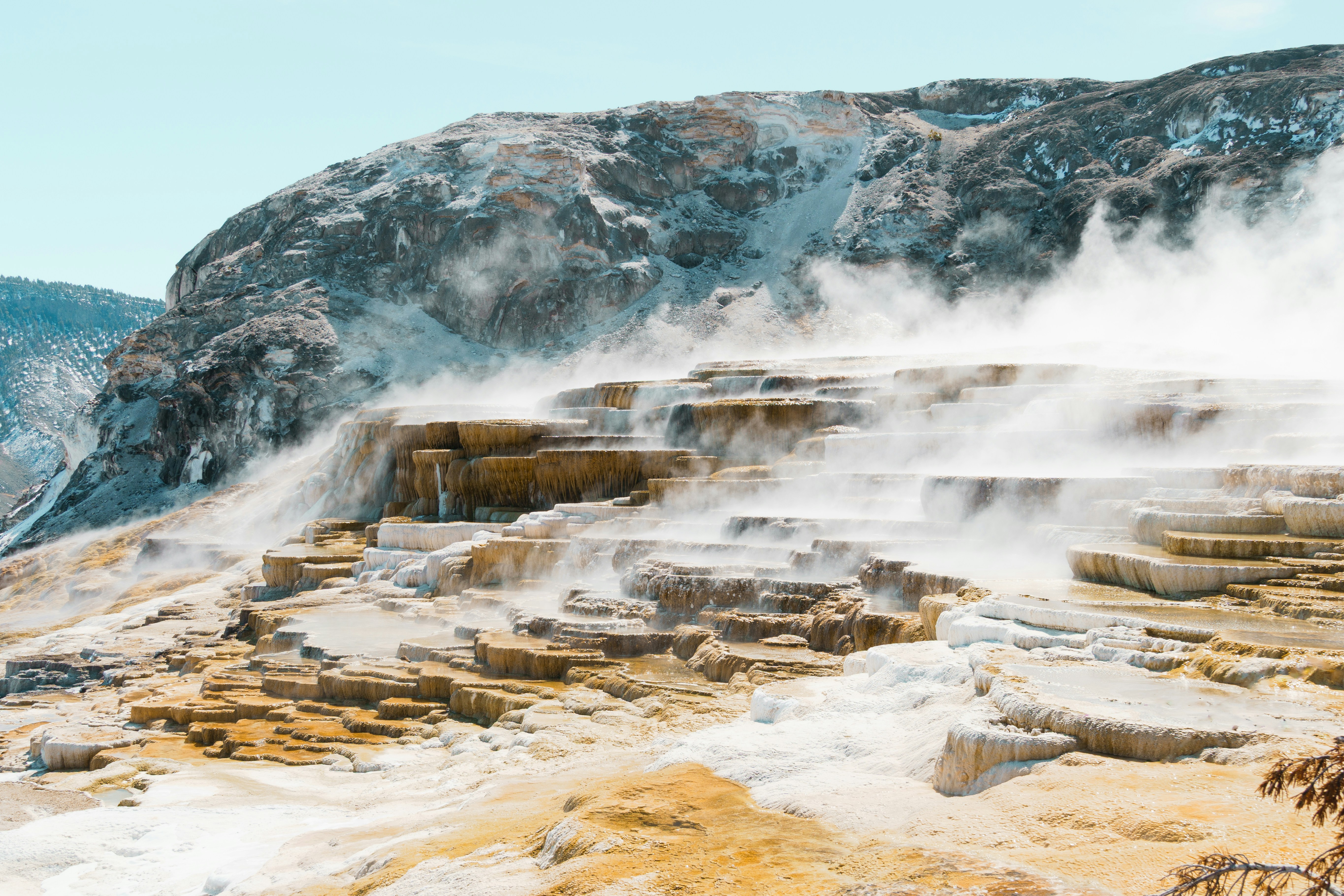 Photo by jaspergribble