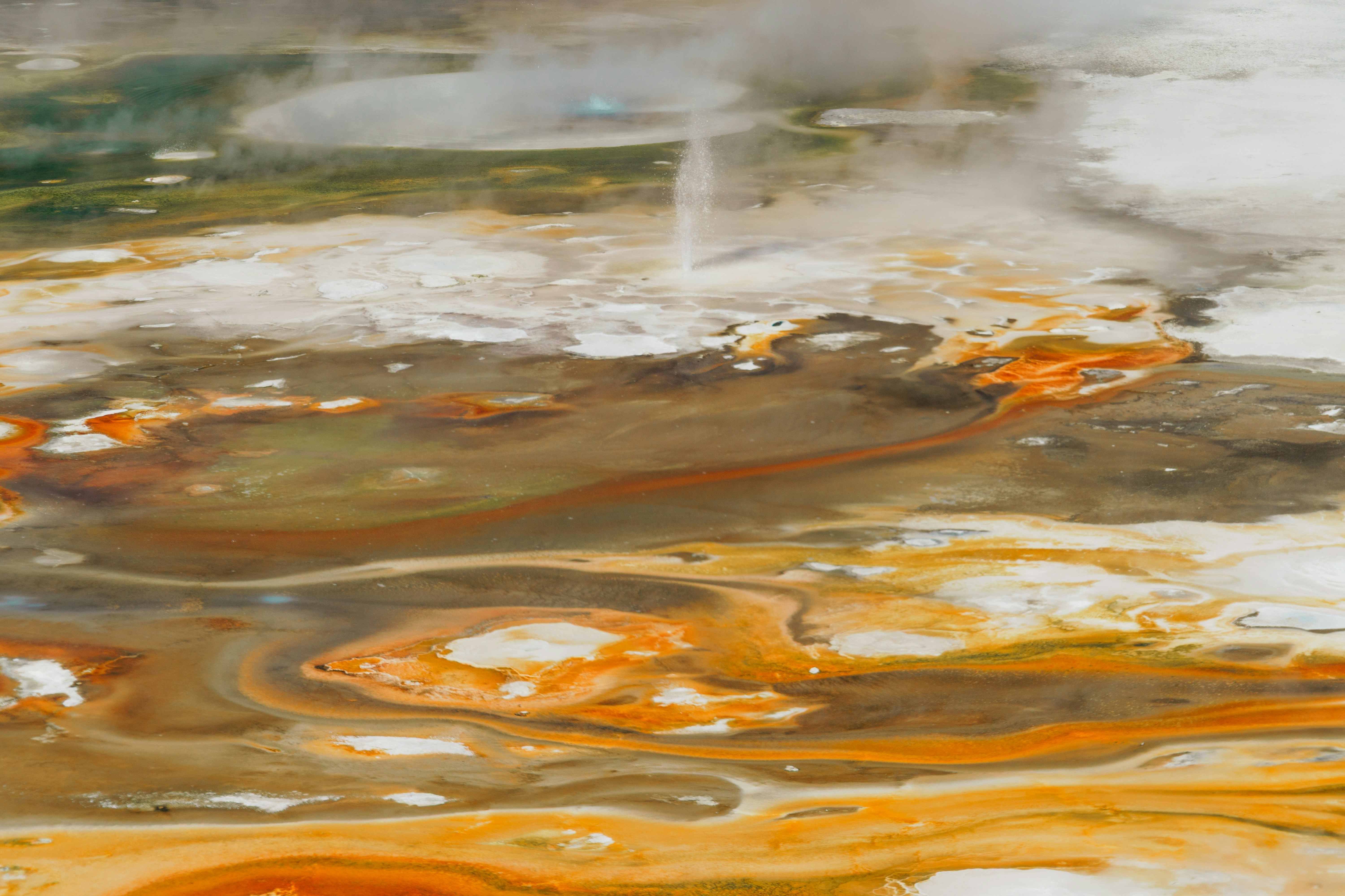 Photo by jaspergribble