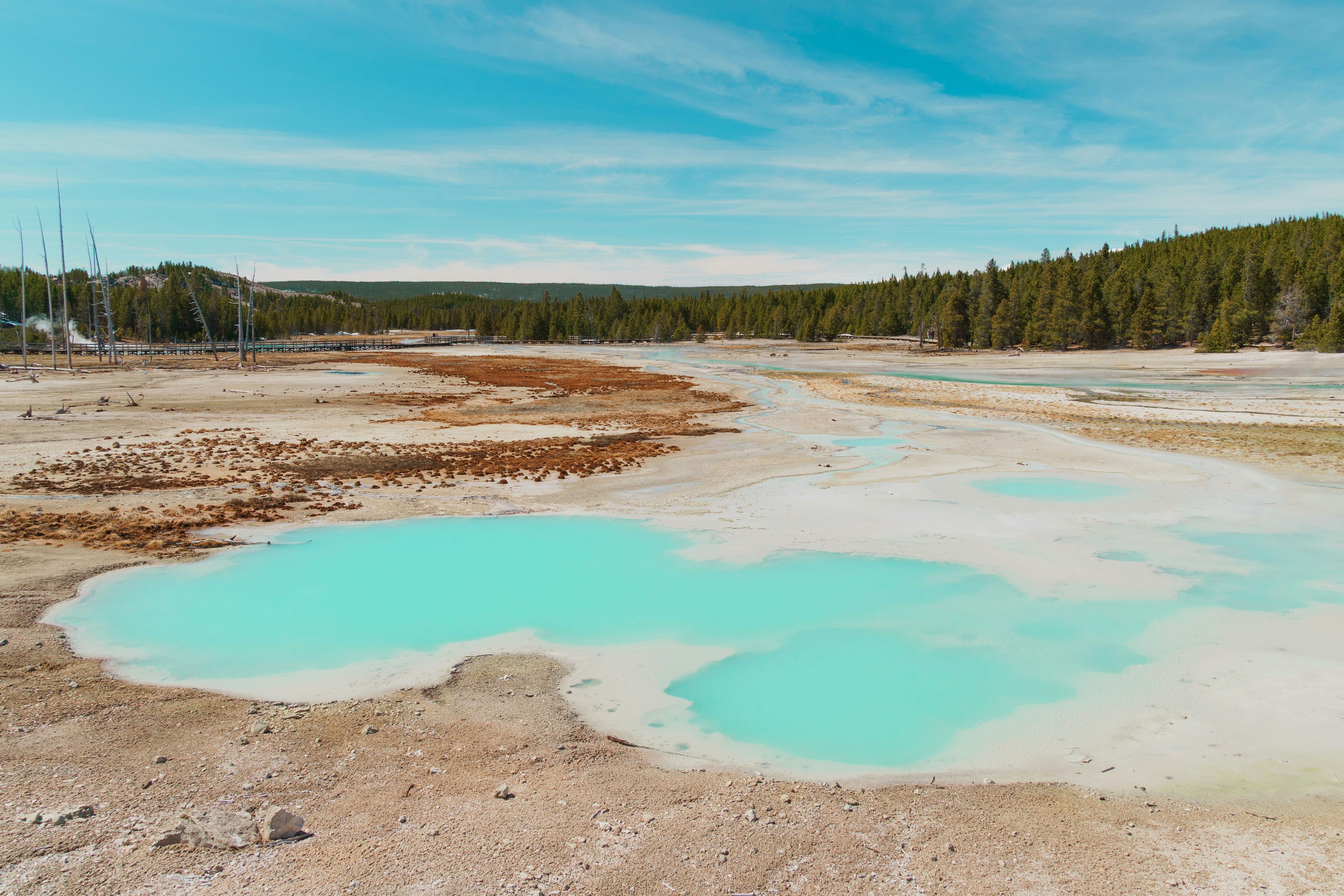 Photo by jaspergribble