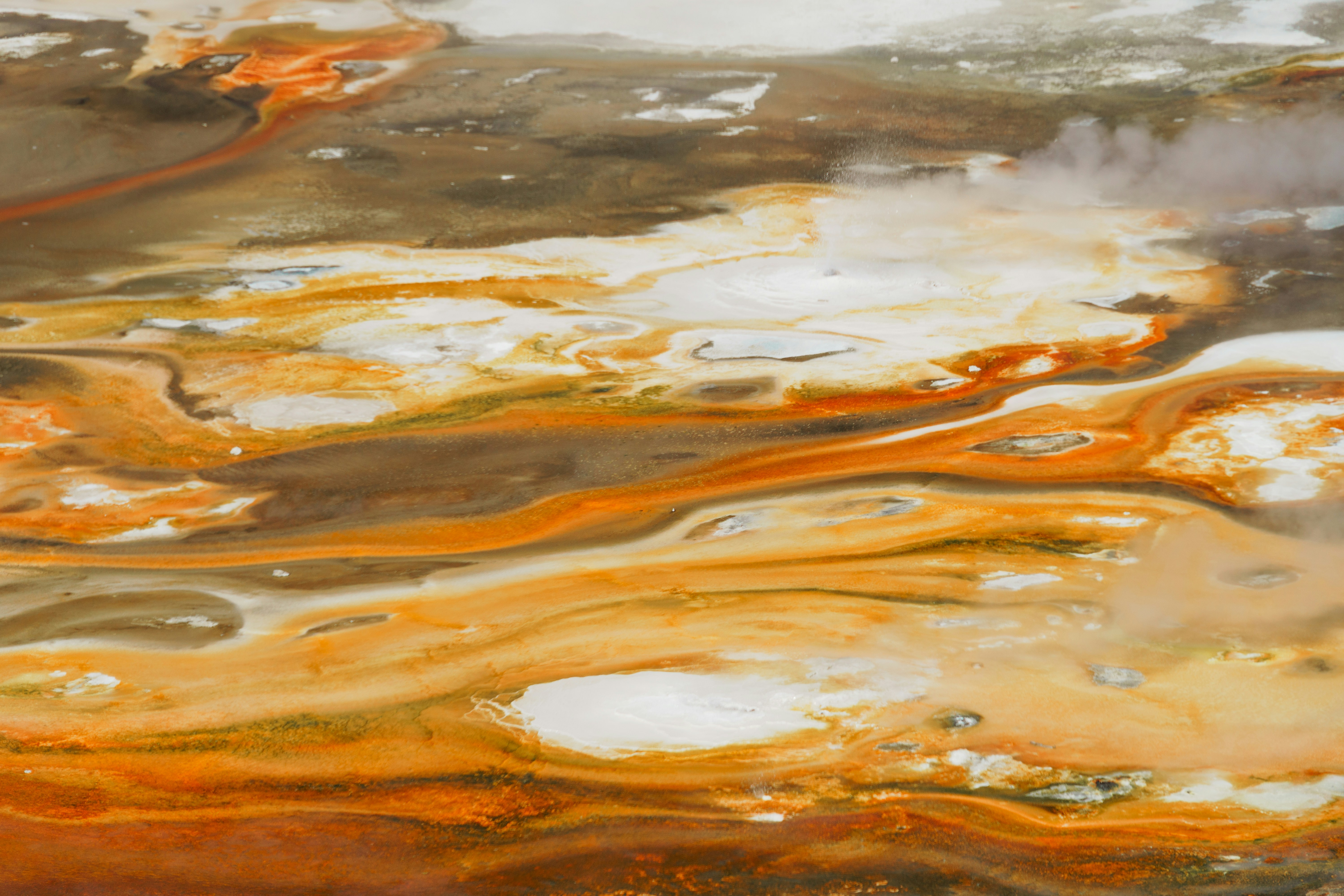 Photo by jaspergribble