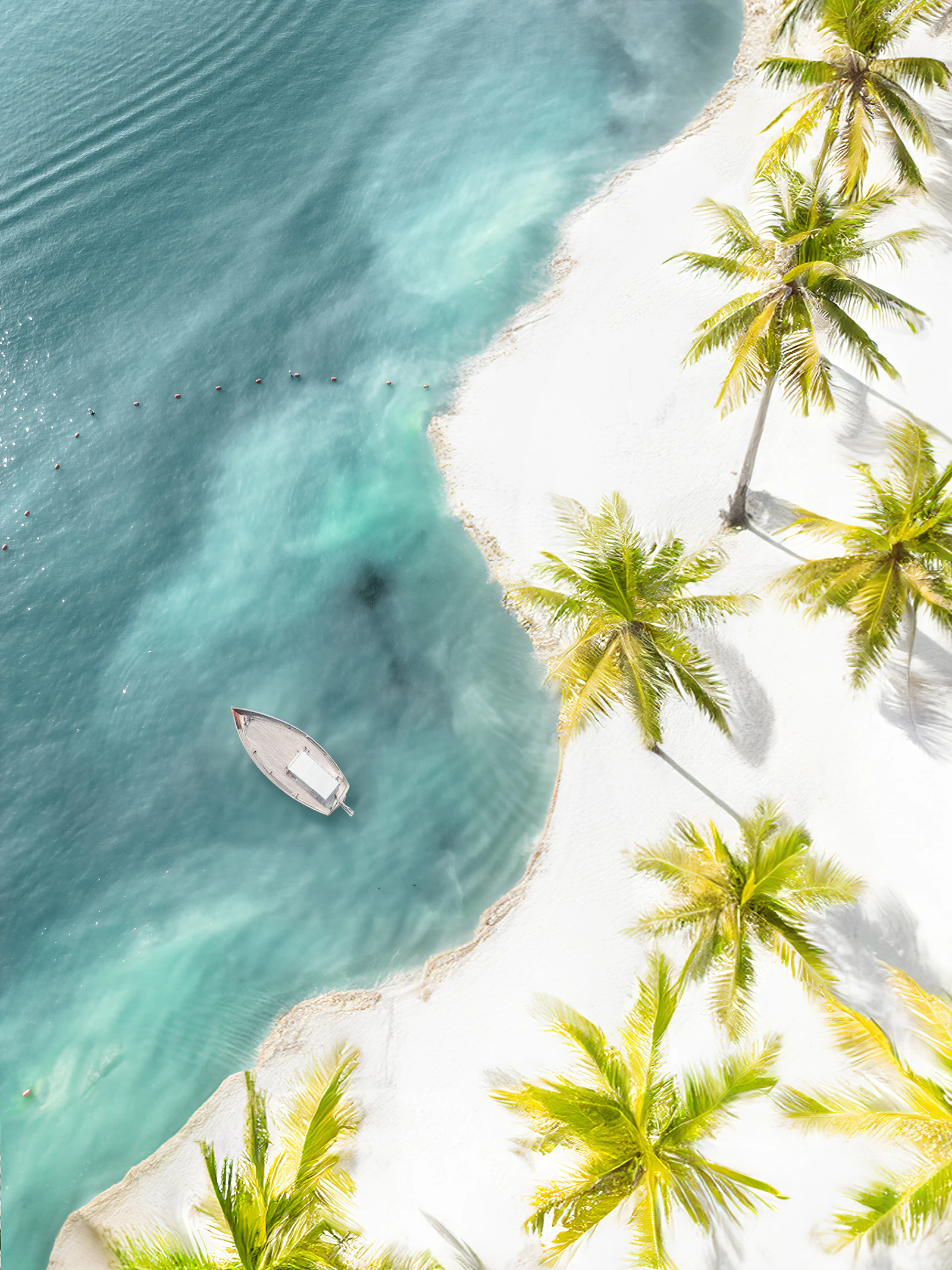 Vista aérea de playa caribeña con palmeras