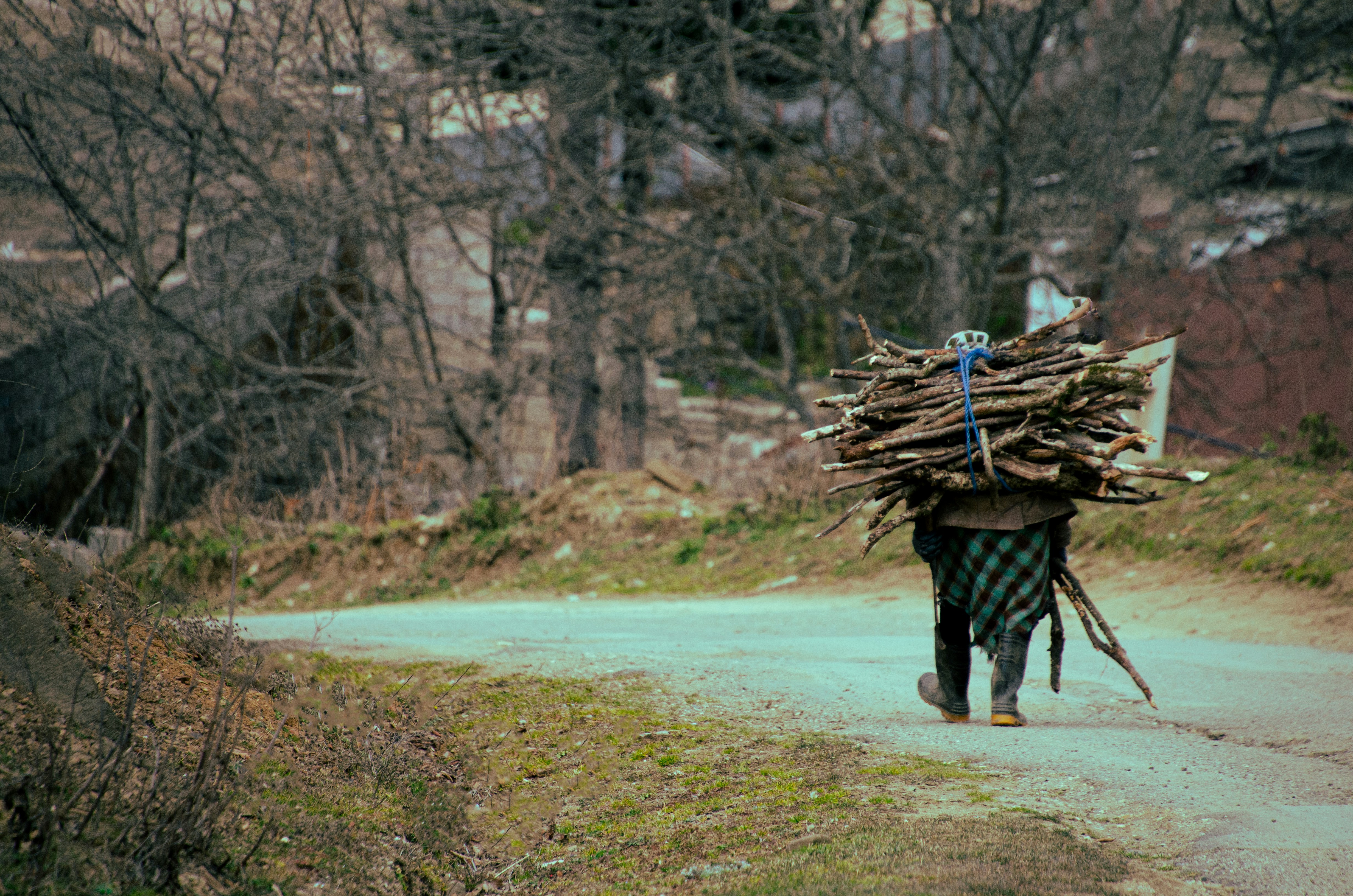 A person carries firewood along a dirt road.