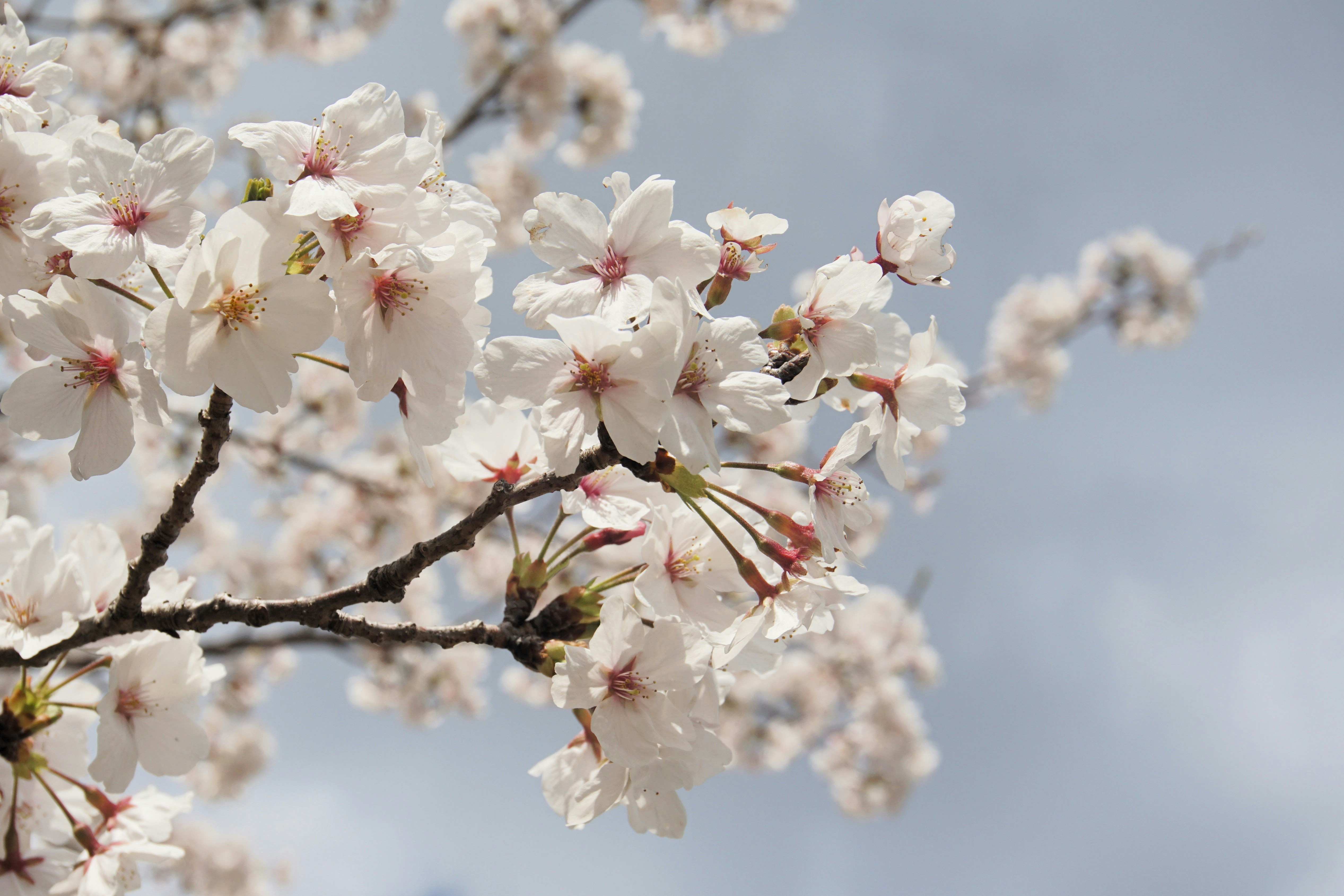 Photo by syadzasalsabyla