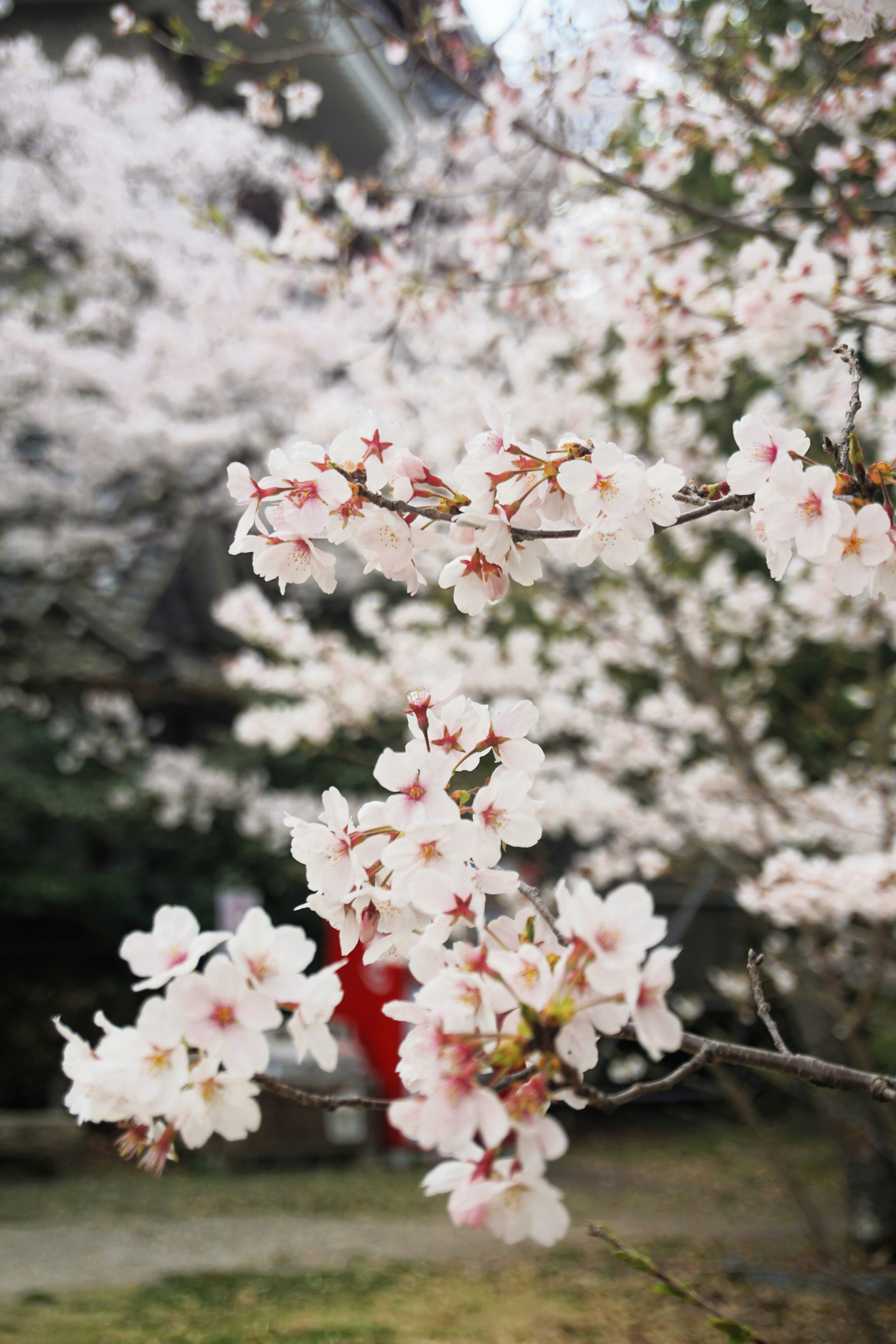 Photo by syadzasalsabyla