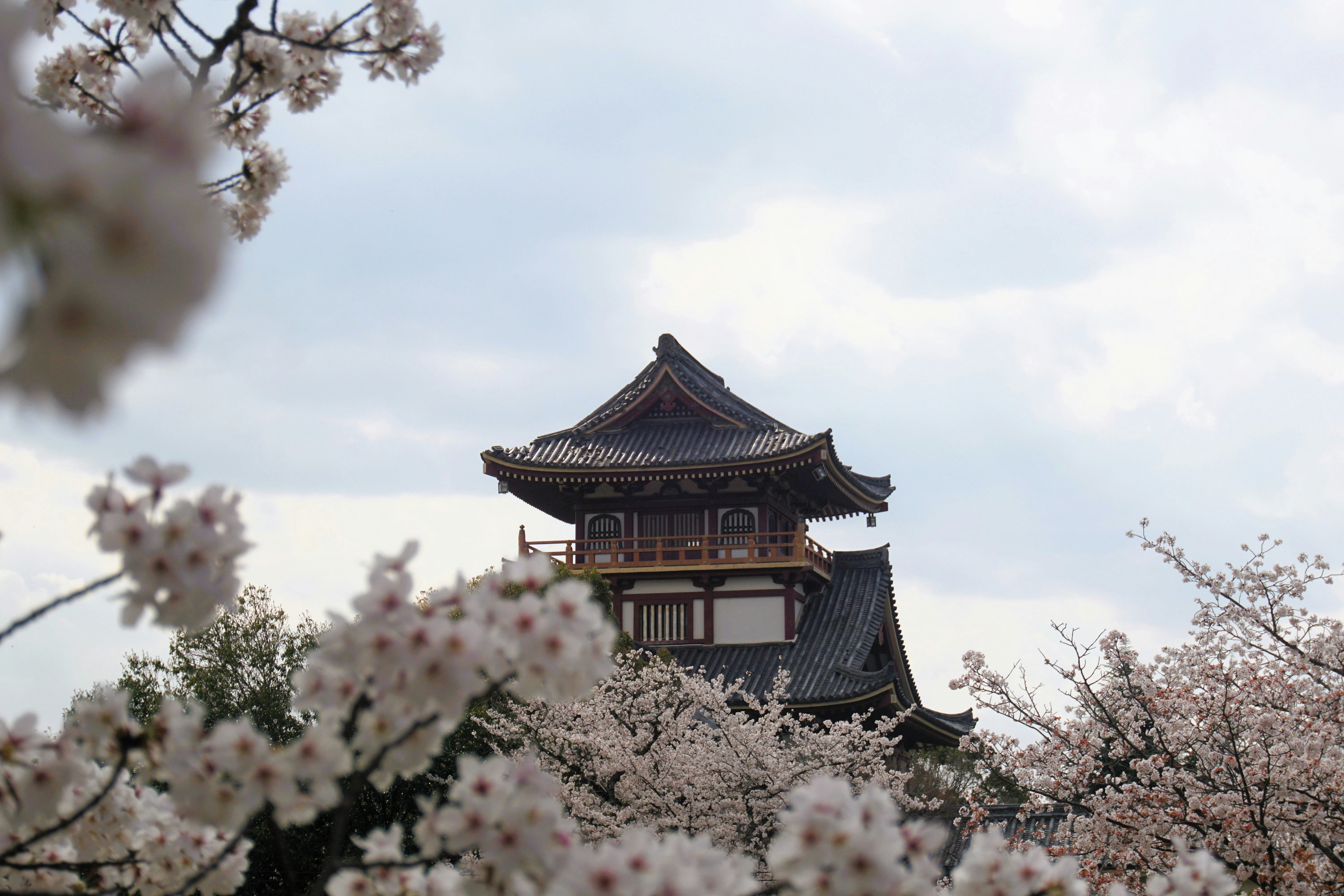 Photo by syadzasalsabyla