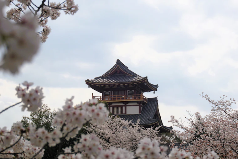 Suasana musim sakura Jepang