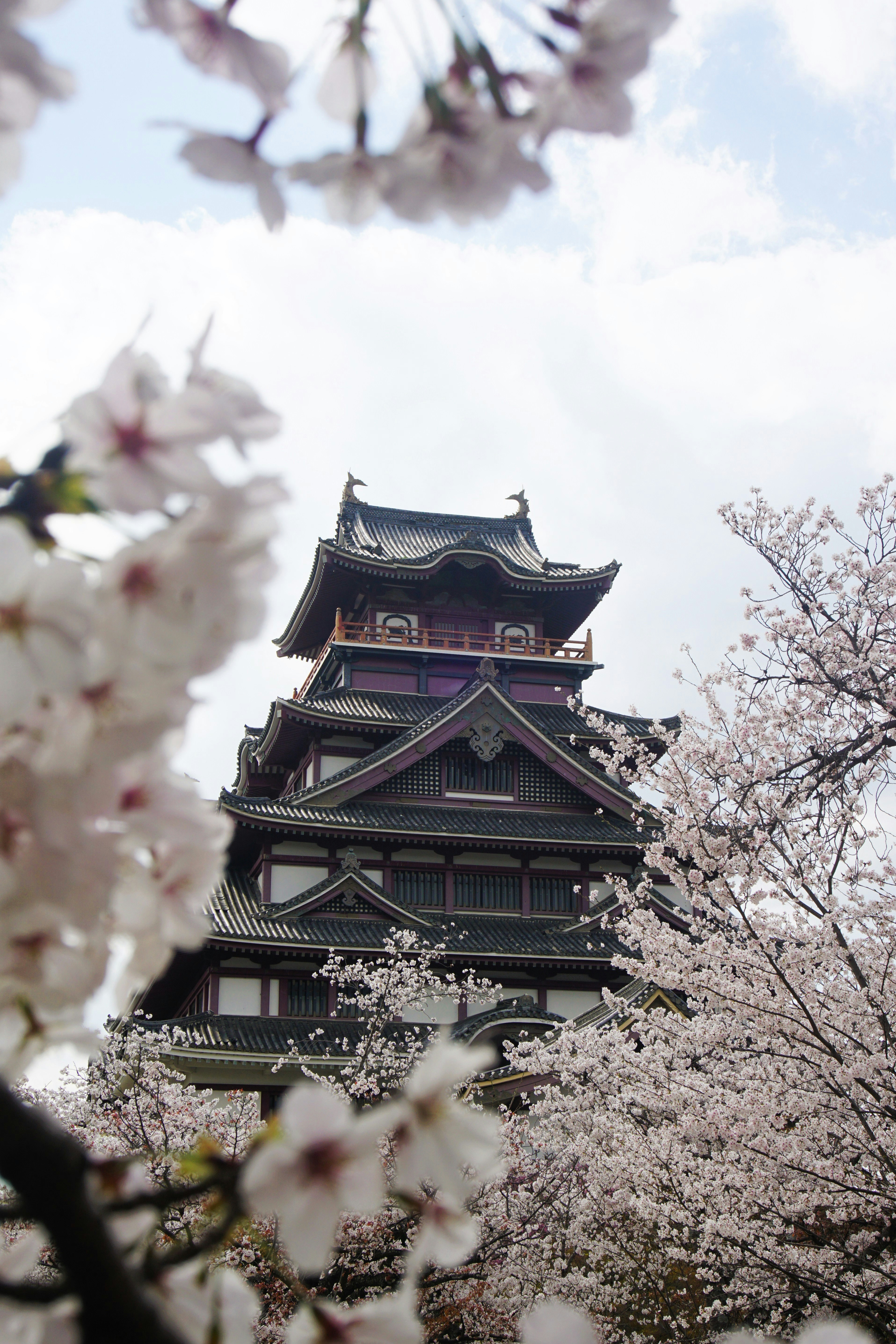 Photo by syadzasalsabyla