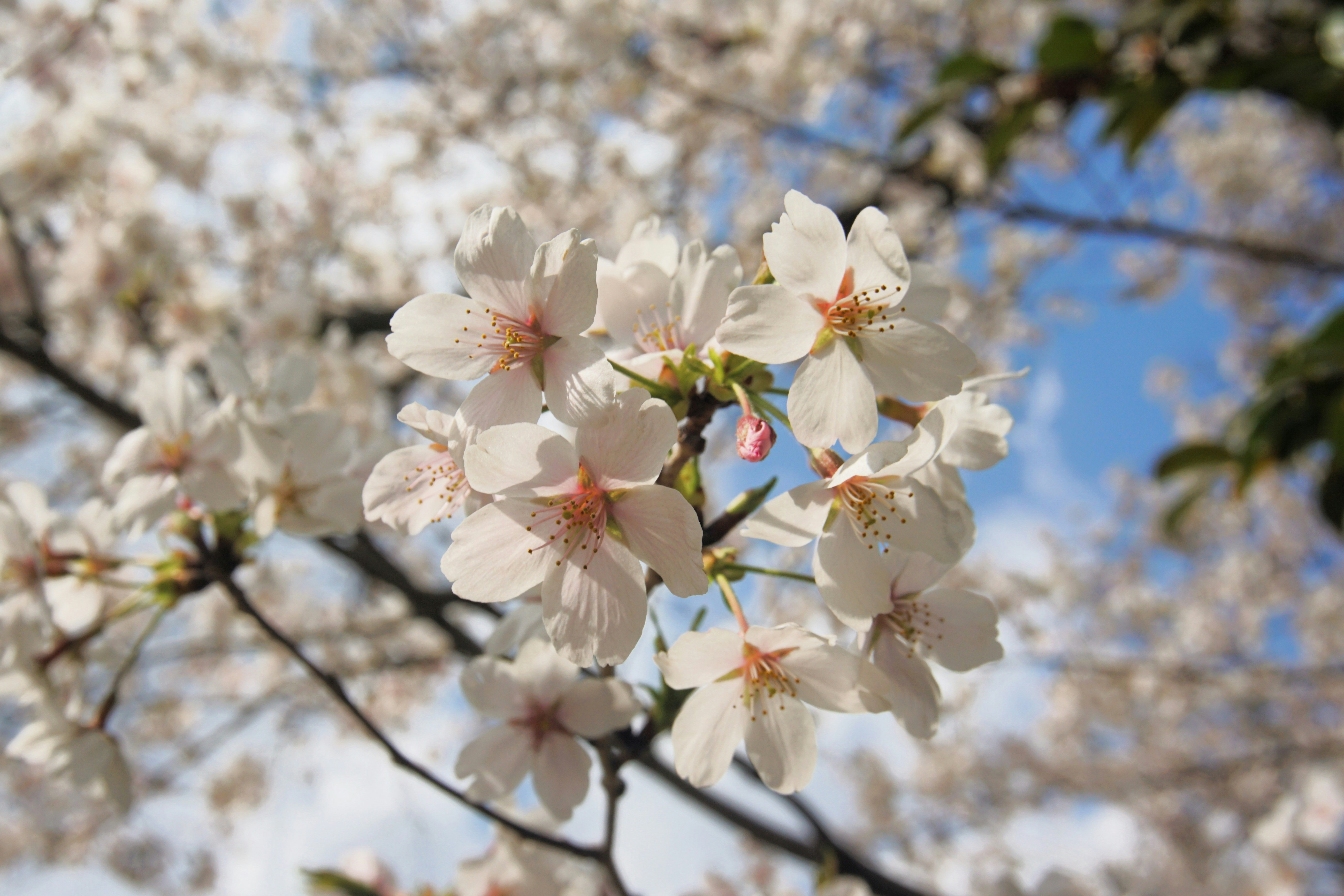 Photo by syadzasalsabyla