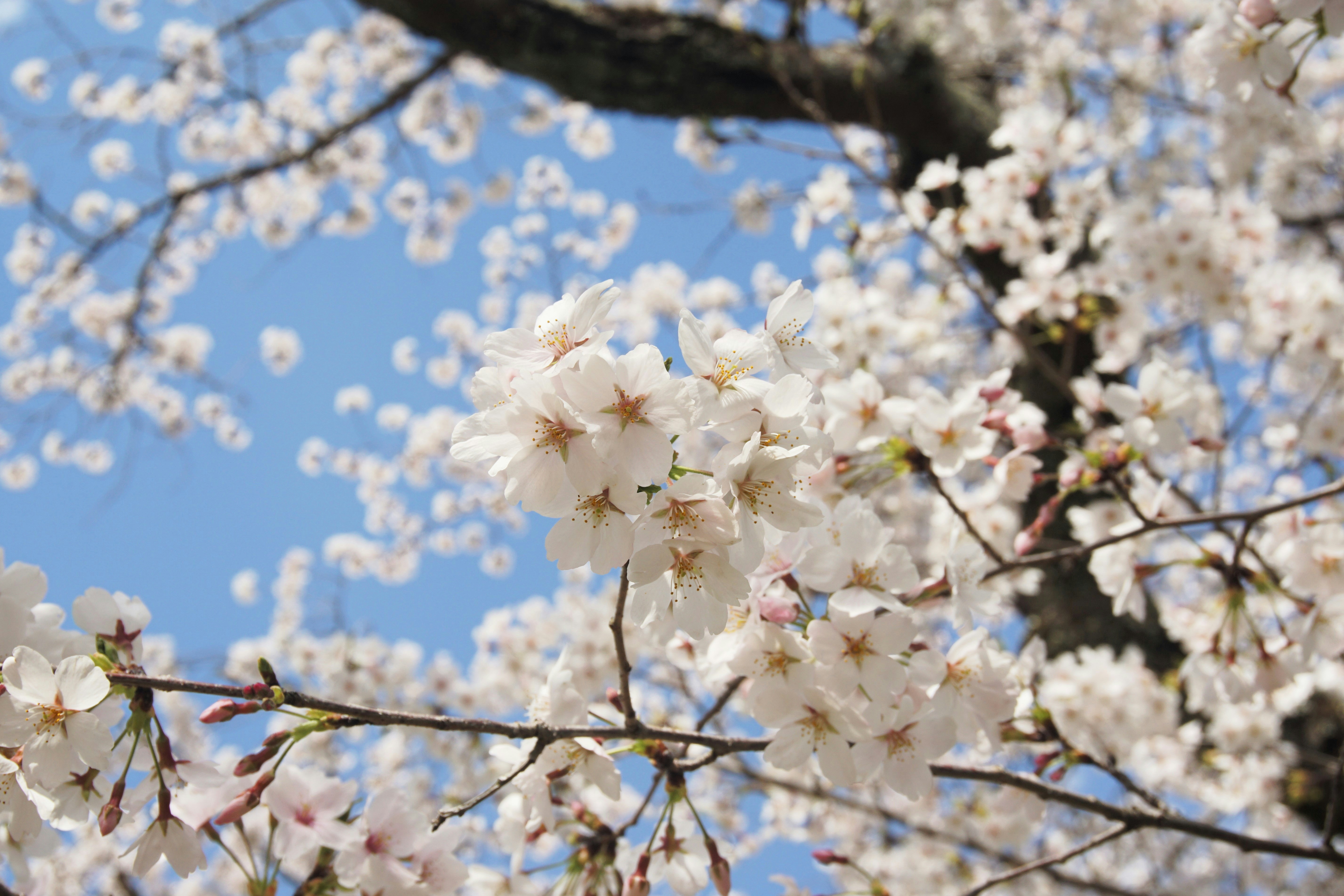 Photo by syadzasalsabyla