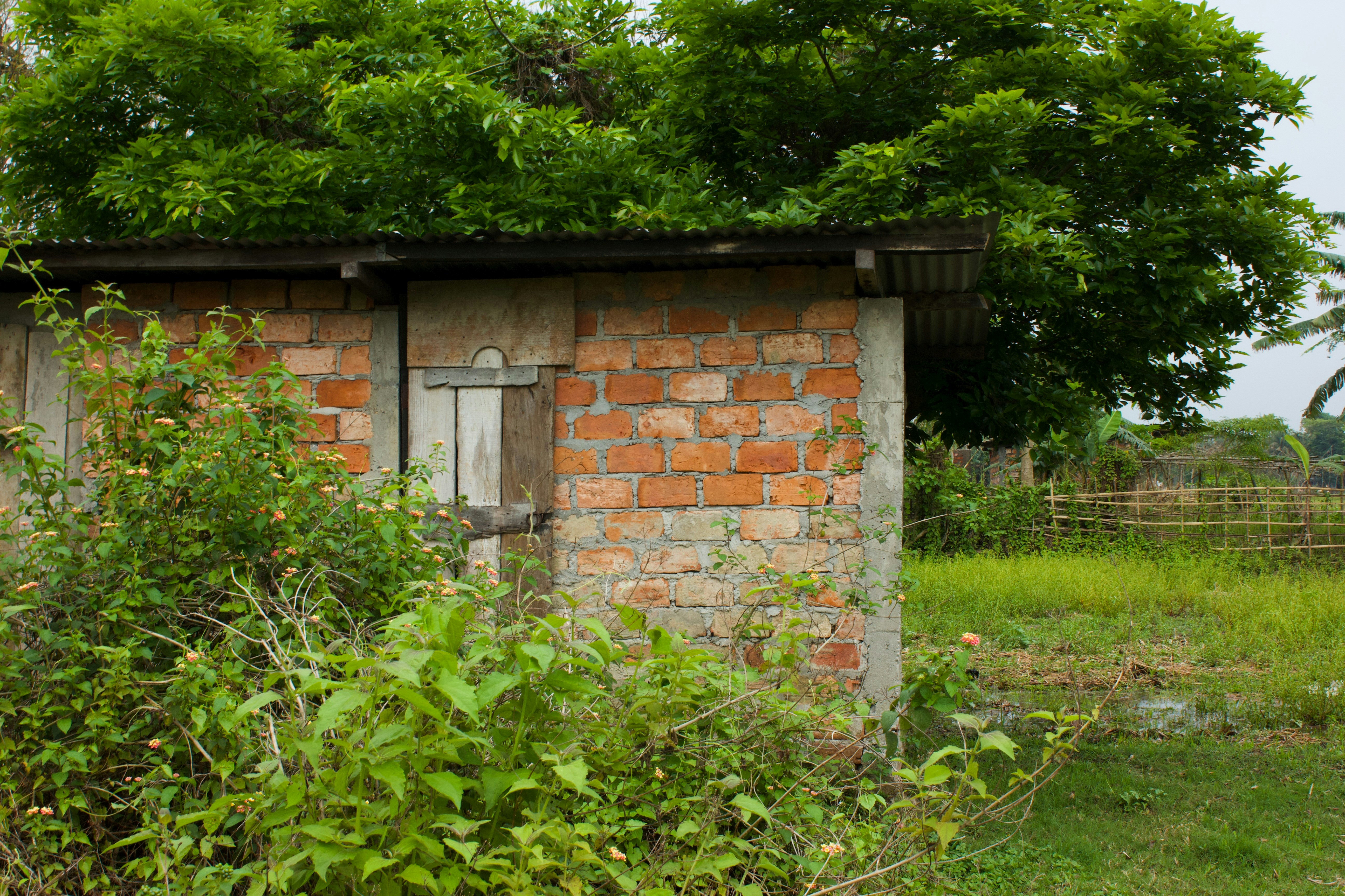 Photo by that_bored_beast