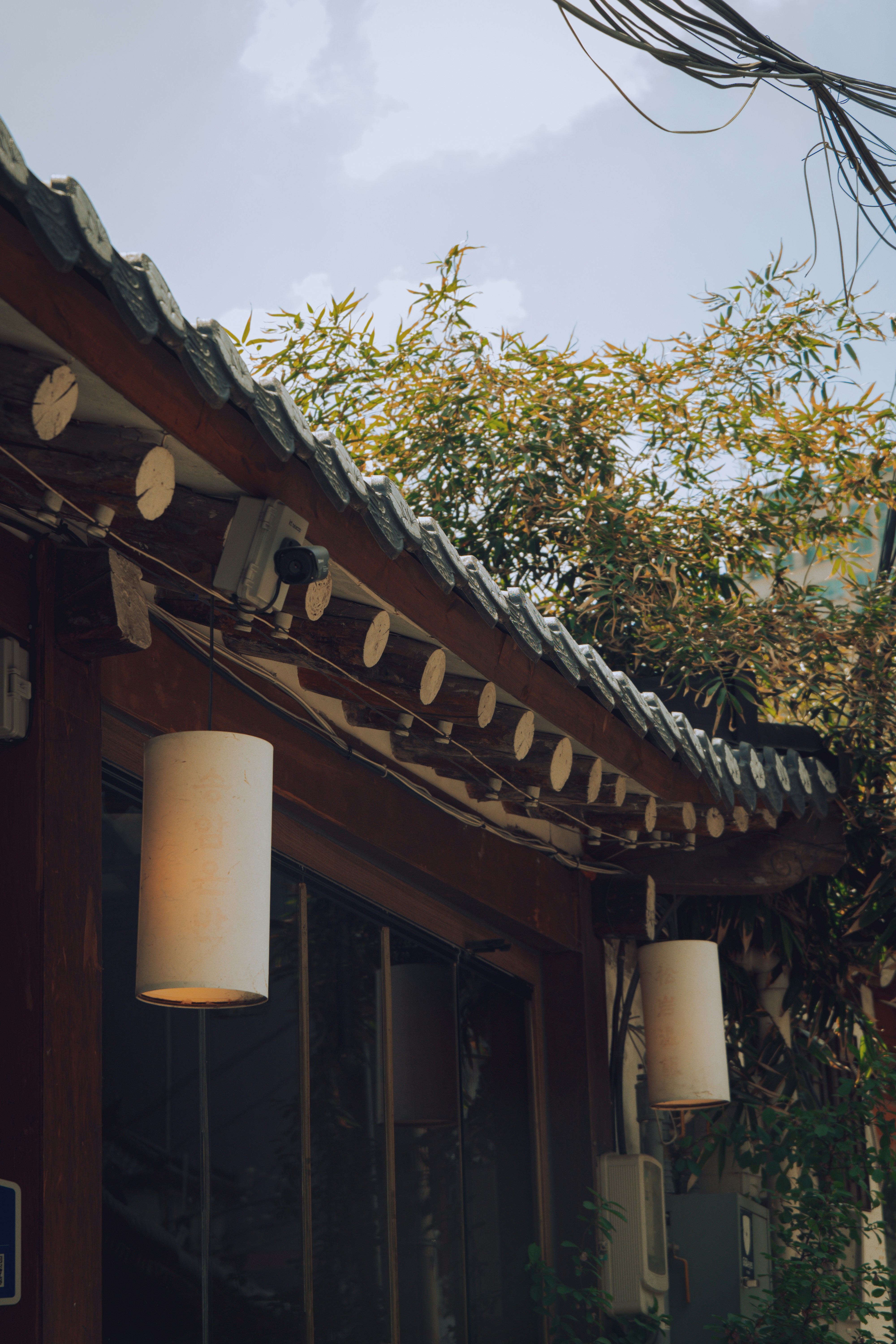 Photo by brother_yoon