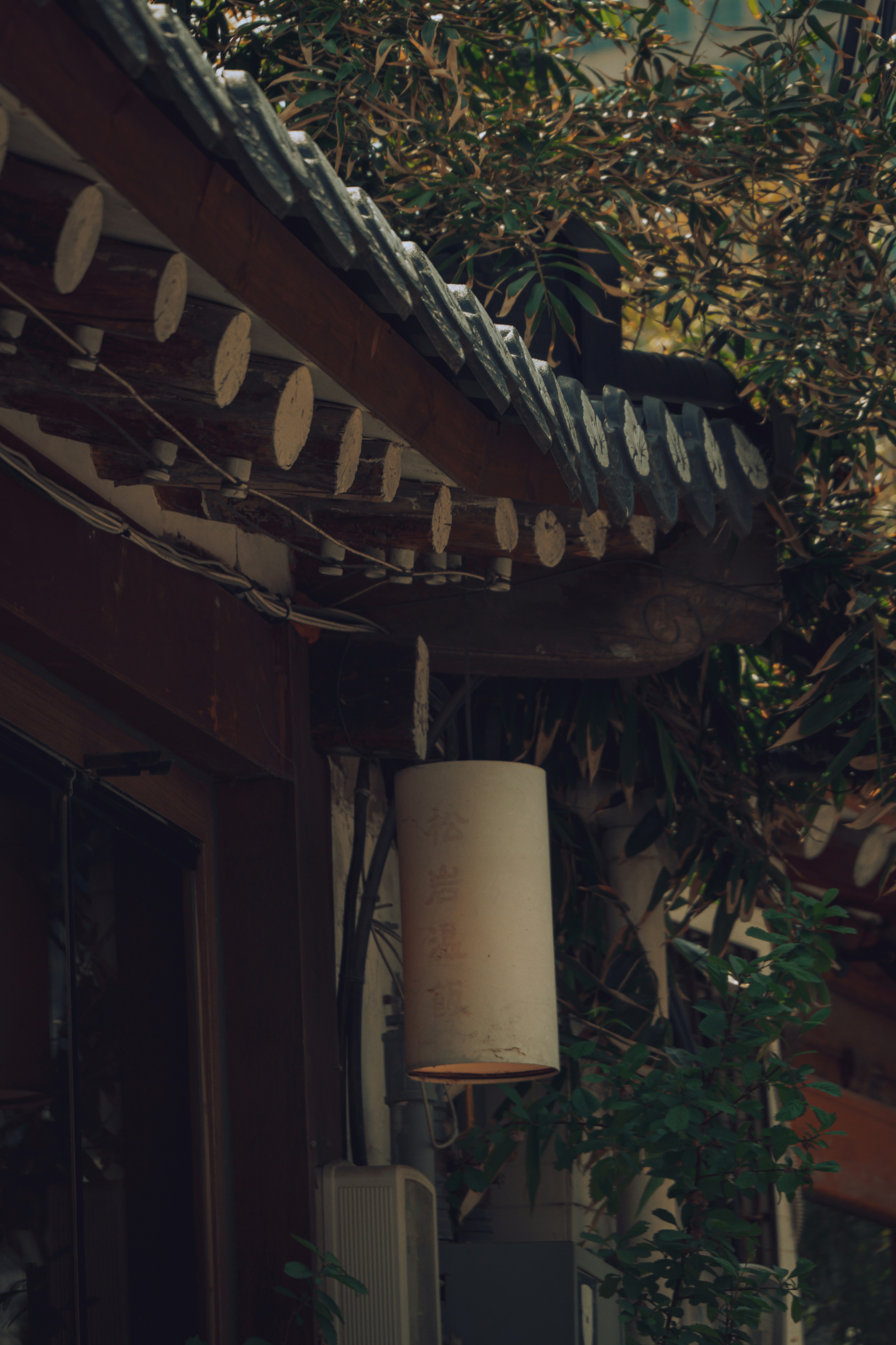 Photo by brother_yoon