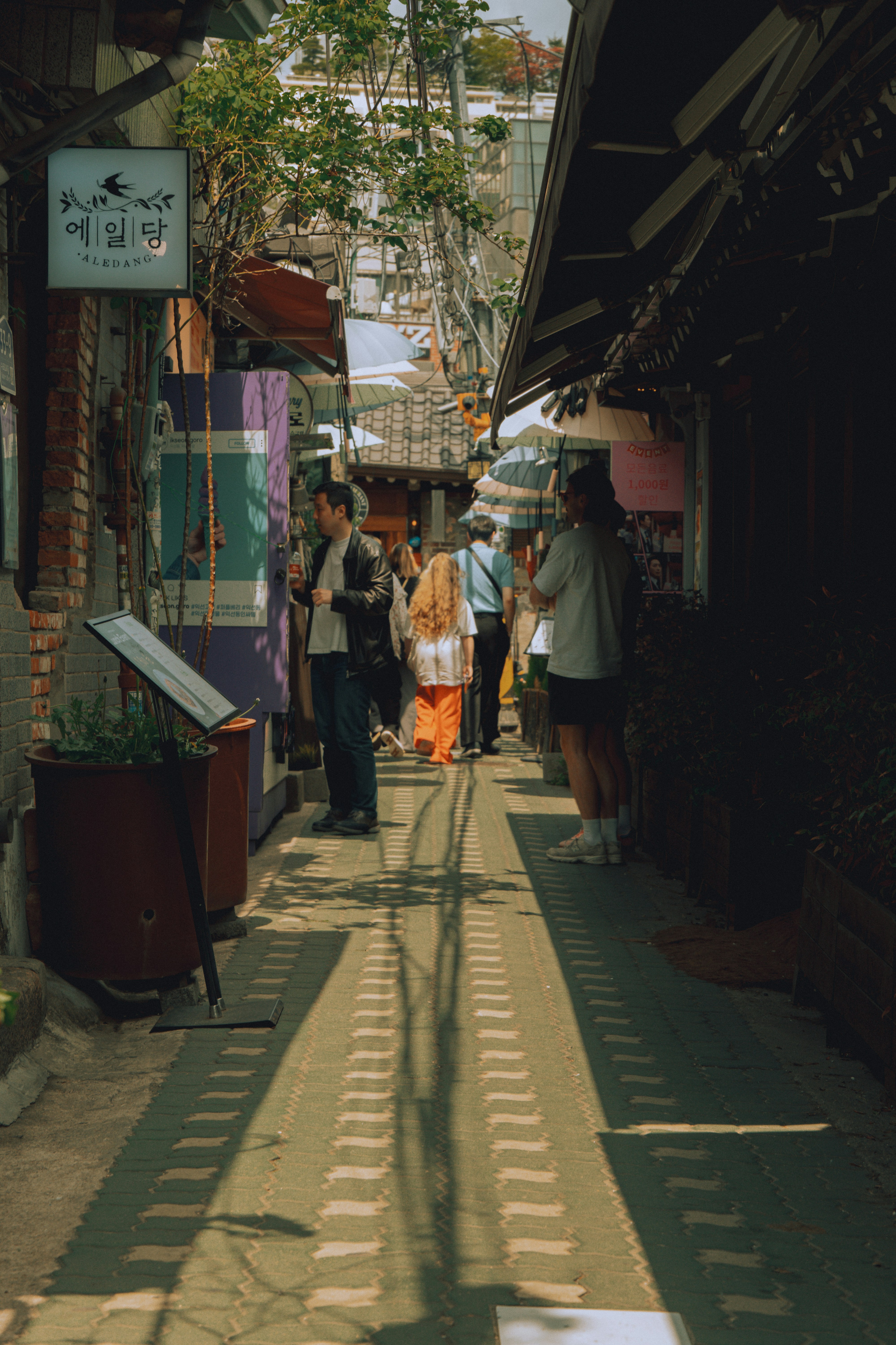 Photo by brother_yoon