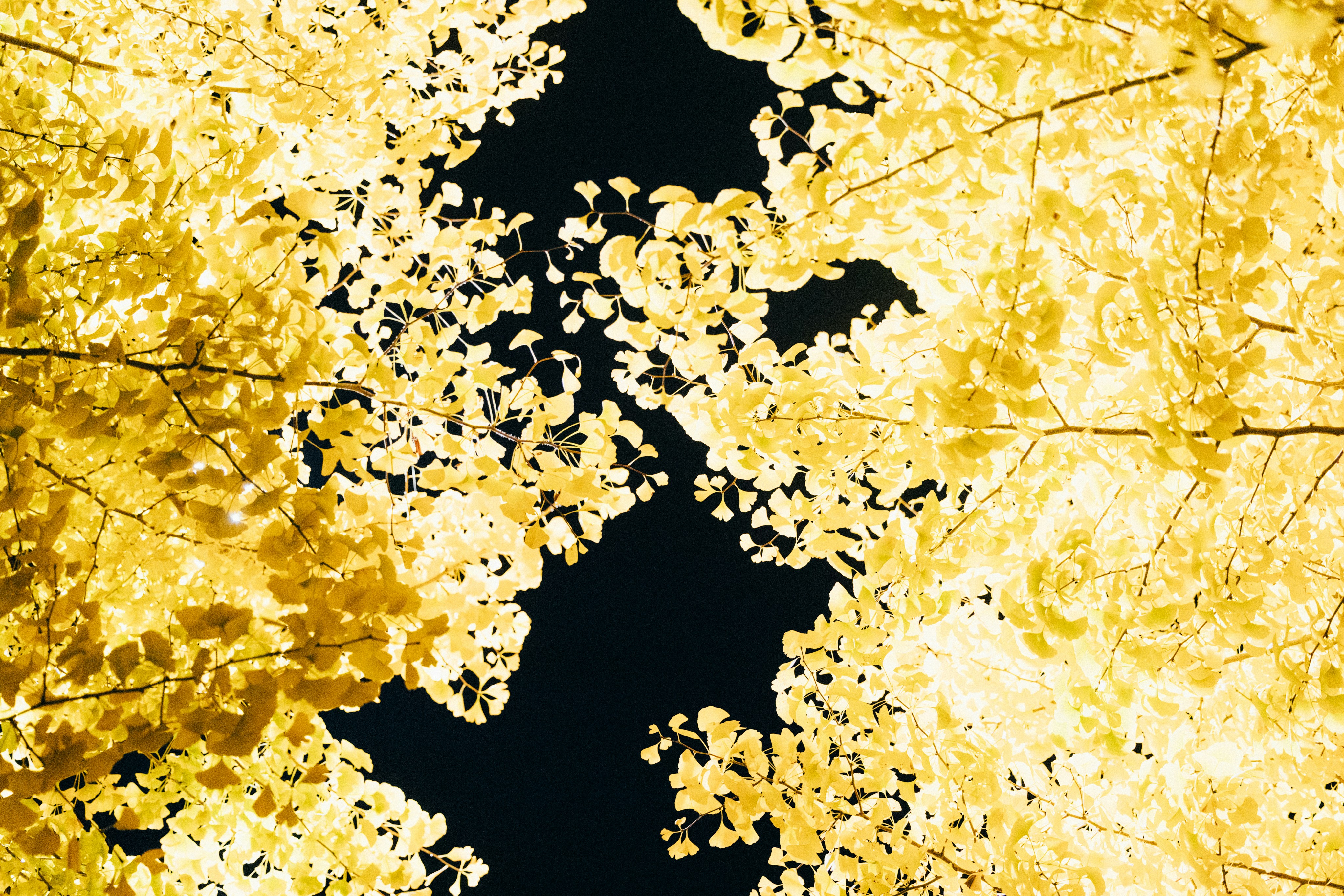 Global map showing solar panel cost variations
